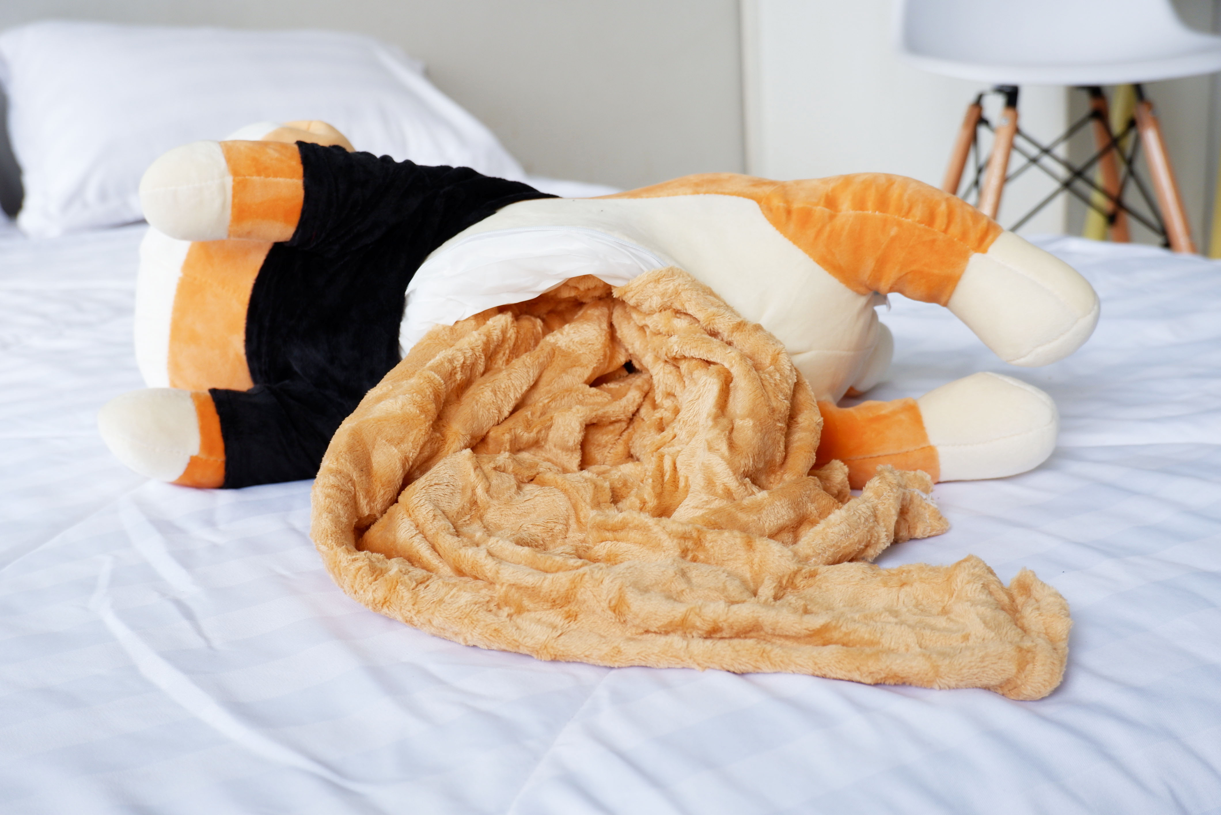 ตุ๊กตาผ้าห่มน้องหมา (10 ตัวคละสี)