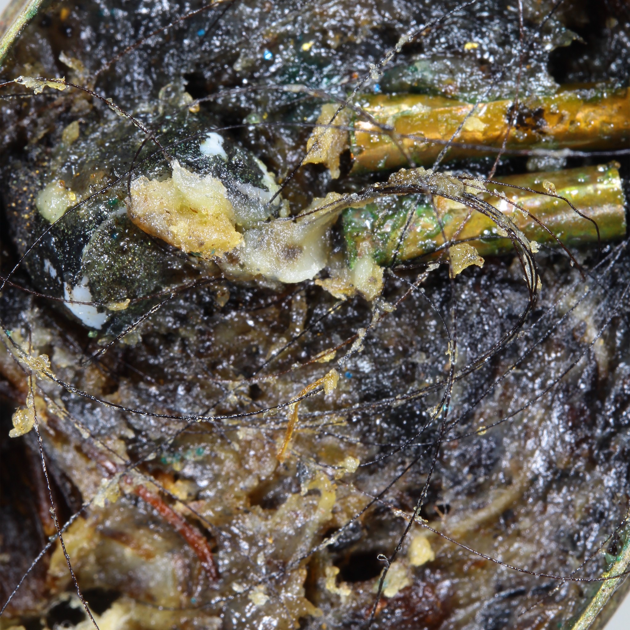 สีผึ้งพรายมหาเสน่ห์ตลับครู อาจารย์เสือ สำนักคนเลี้ยงผี