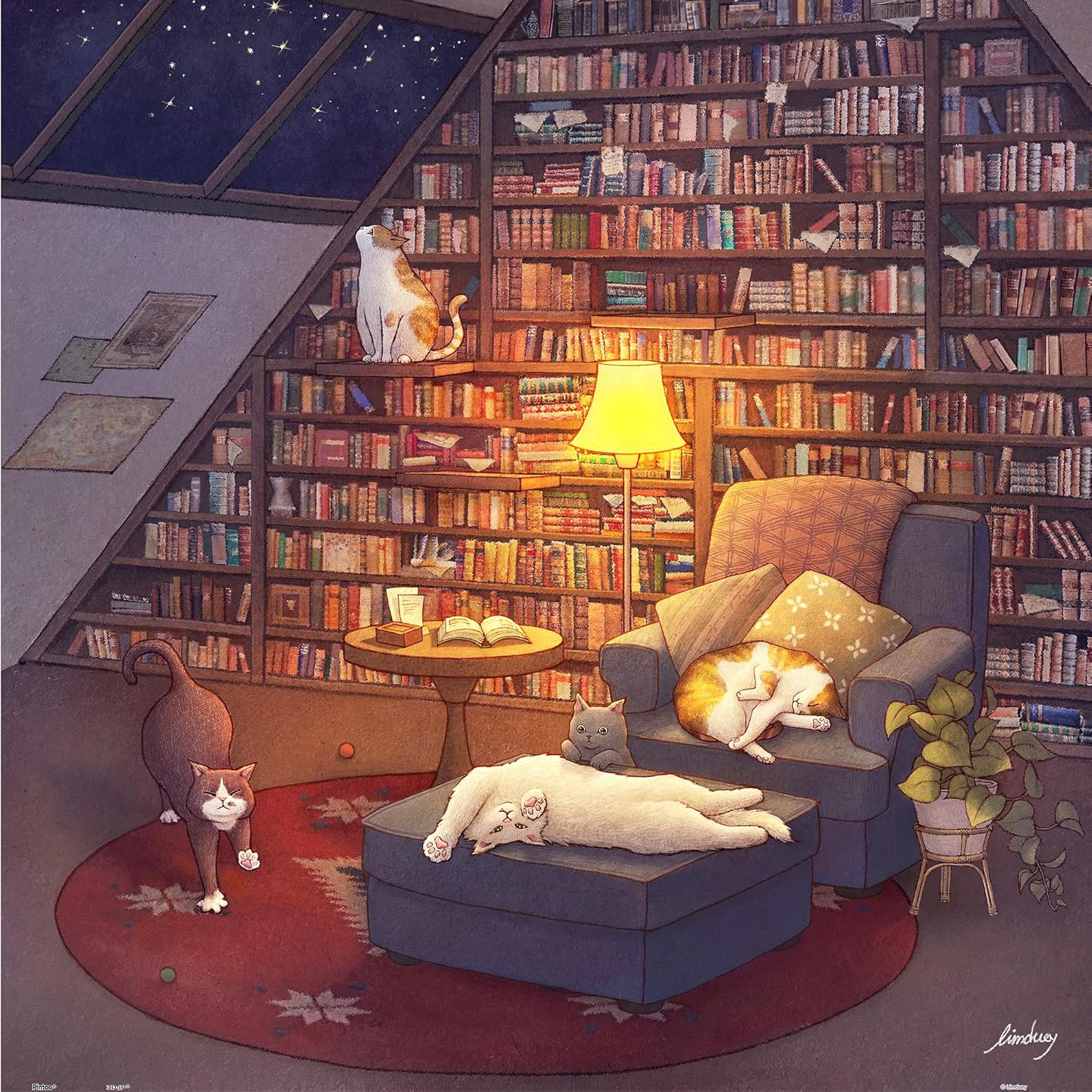 Pintoo - Library by Limduey 900 pcs.
