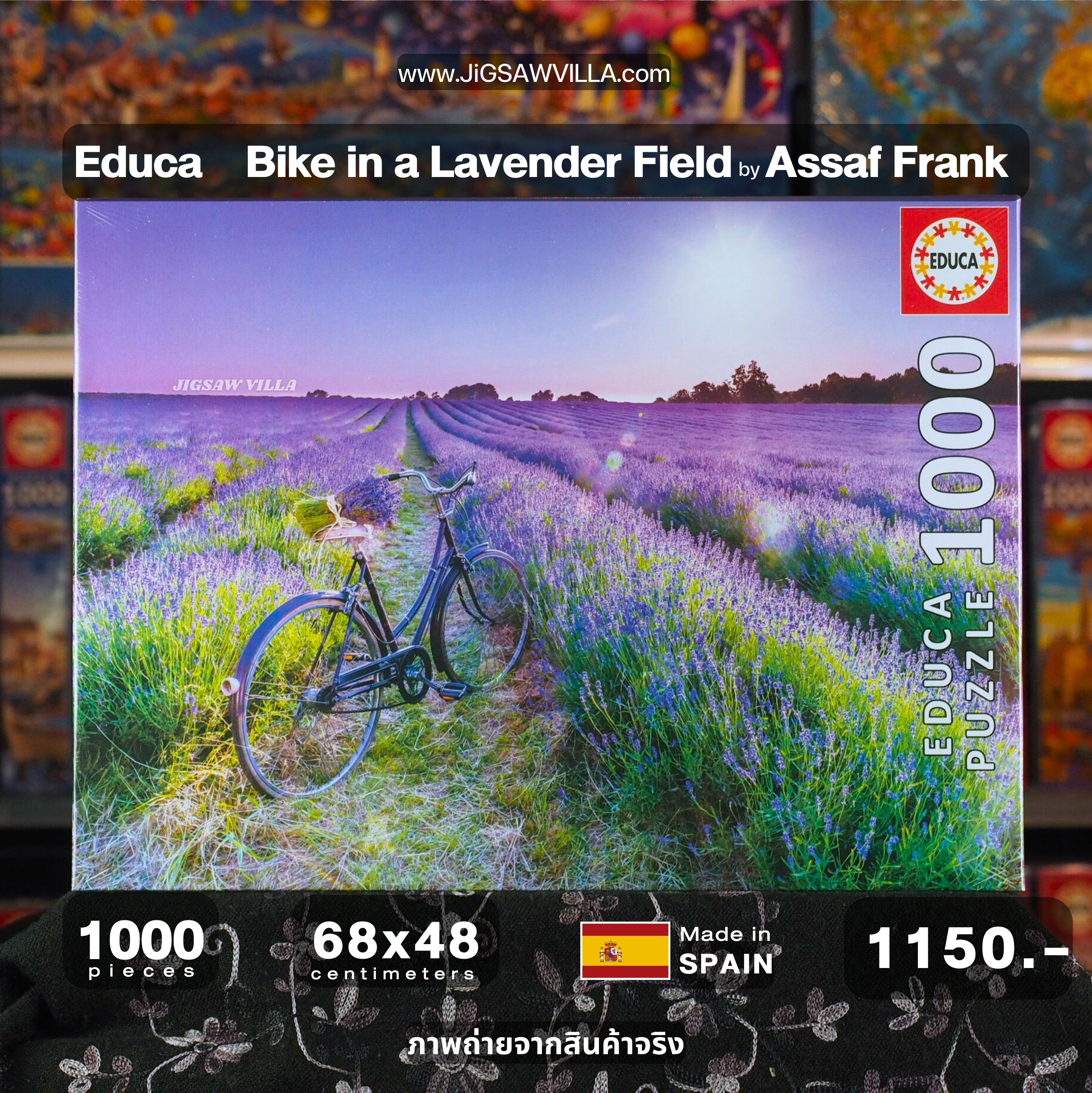 Educa - Bike in a Lavender Field by Assaf Frank 1000 pcs.