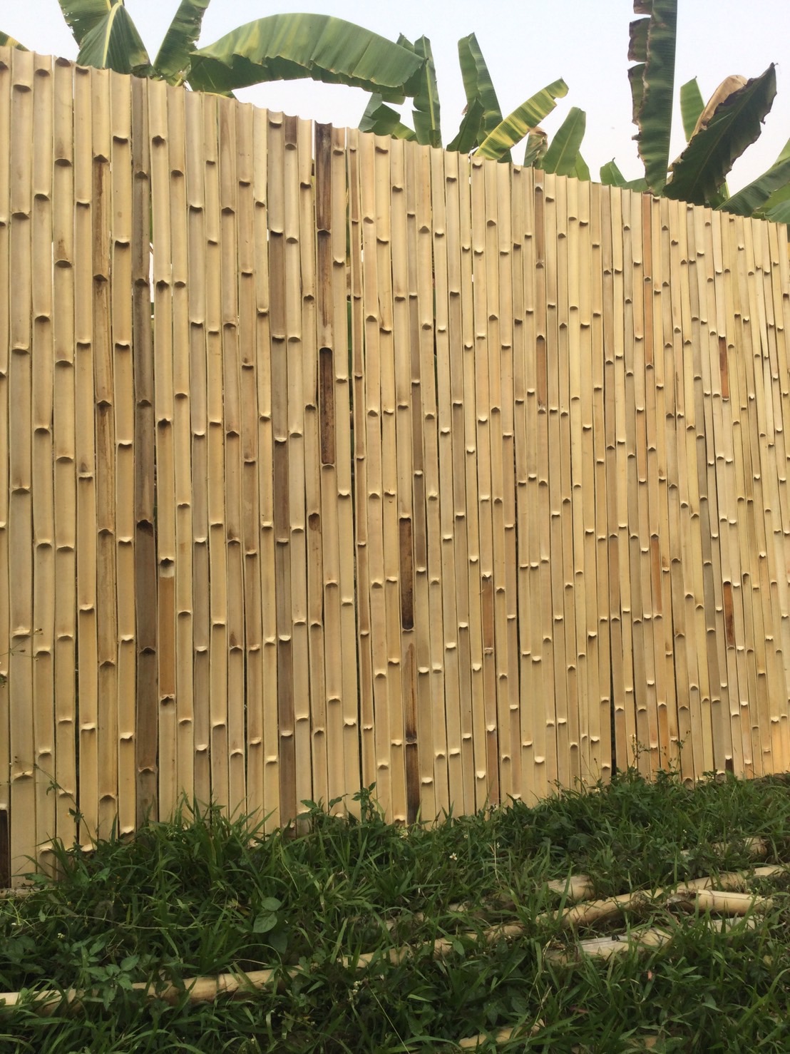 ผนังไม้ไผ่ bamboowall bamboofence