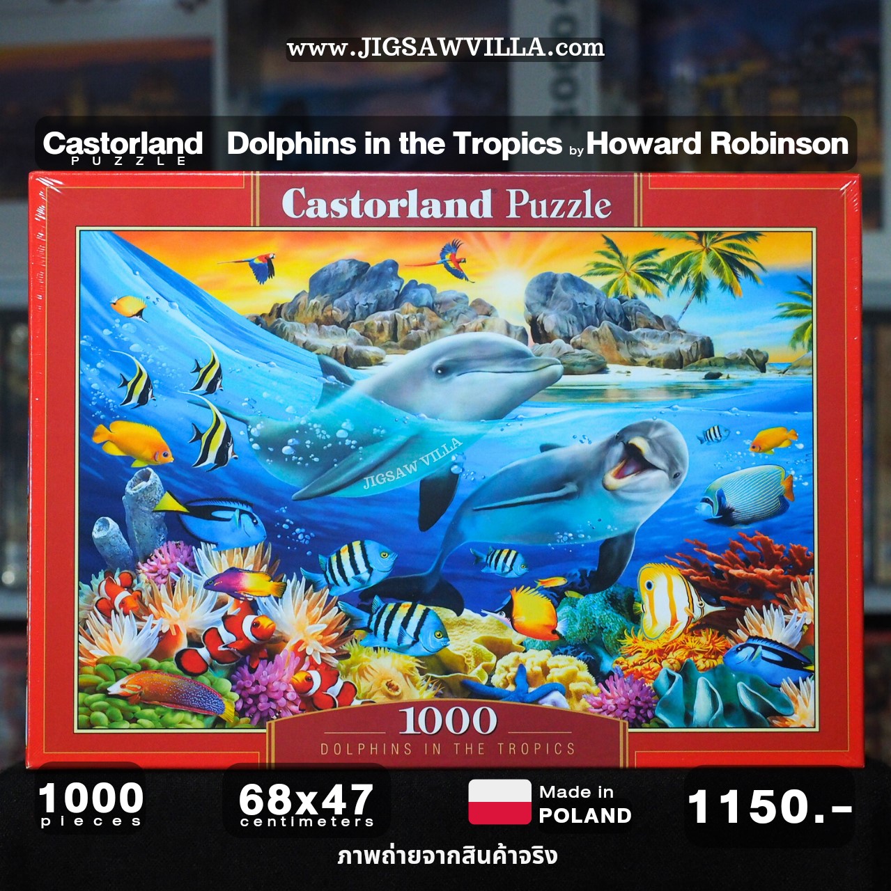 Castorland - Dolphins in the Tropics by Howard Robinson 1000 pcs.