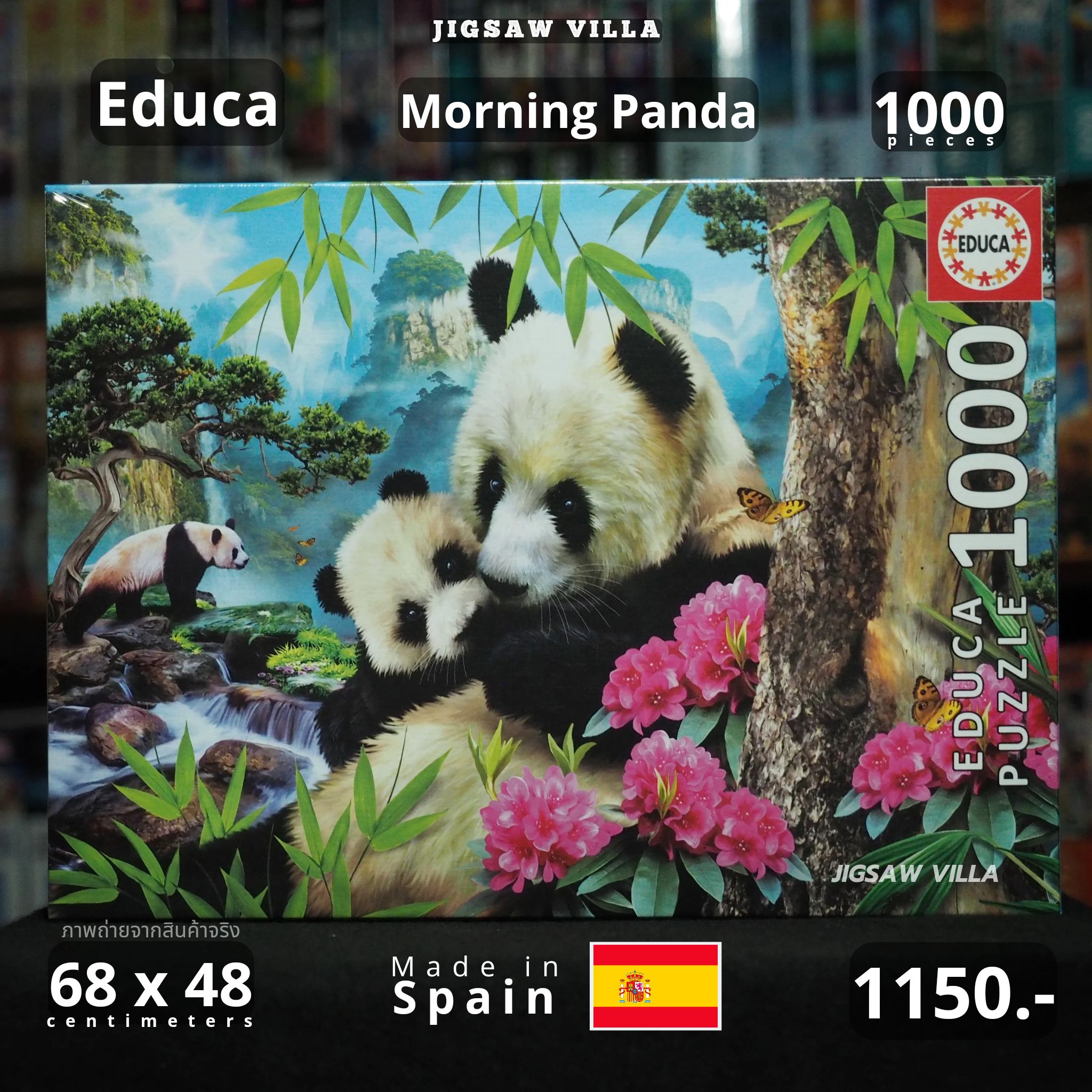 Educa - Morning Panda 1000 pcs.