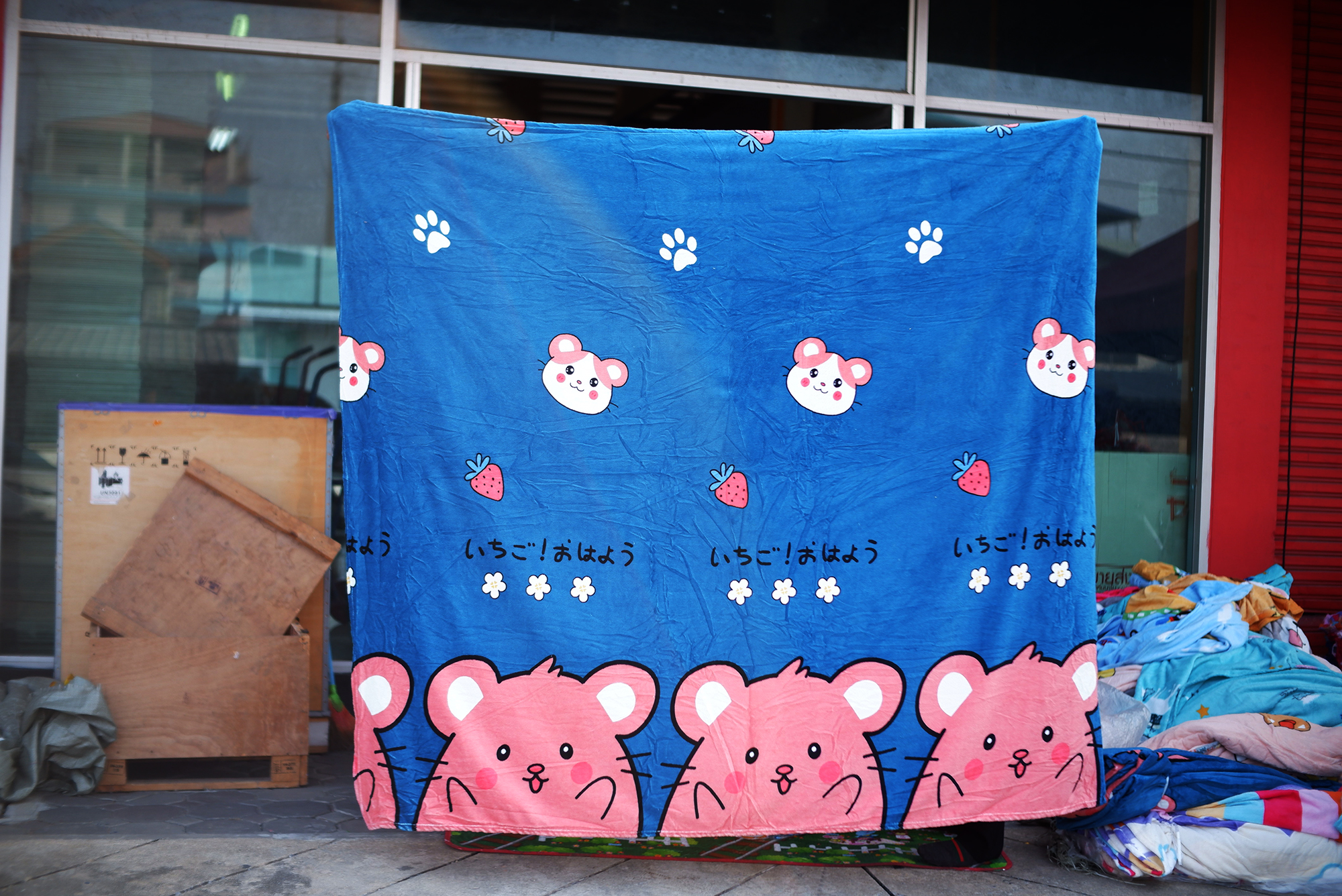 ผ้าห่มนาโน 6 ฟุตลายการ์ตูนเย็บขอบธรรมดา (12ผืนคละลาย)