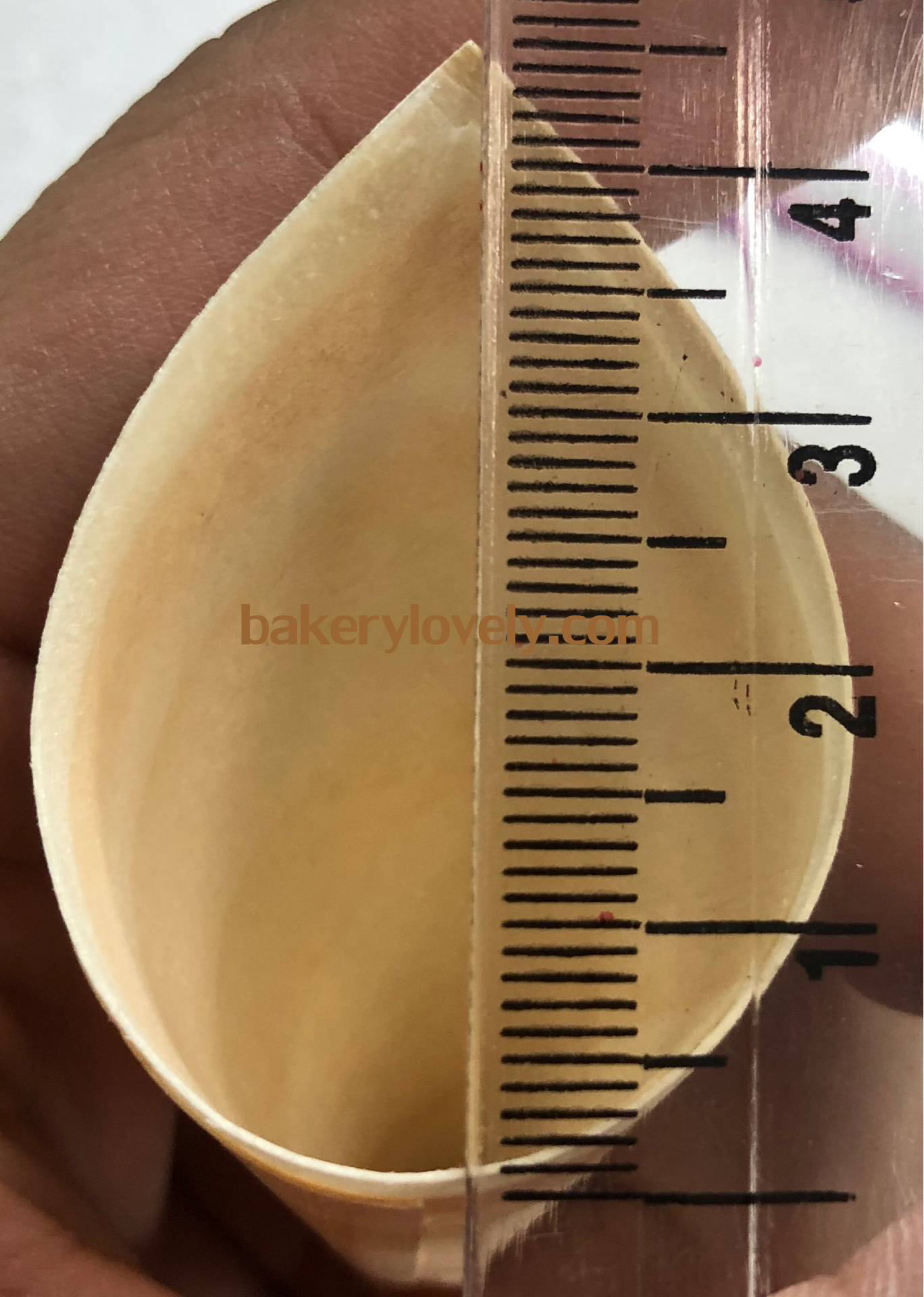 โคนไม้ ขนาดความสูง 8.5 cm