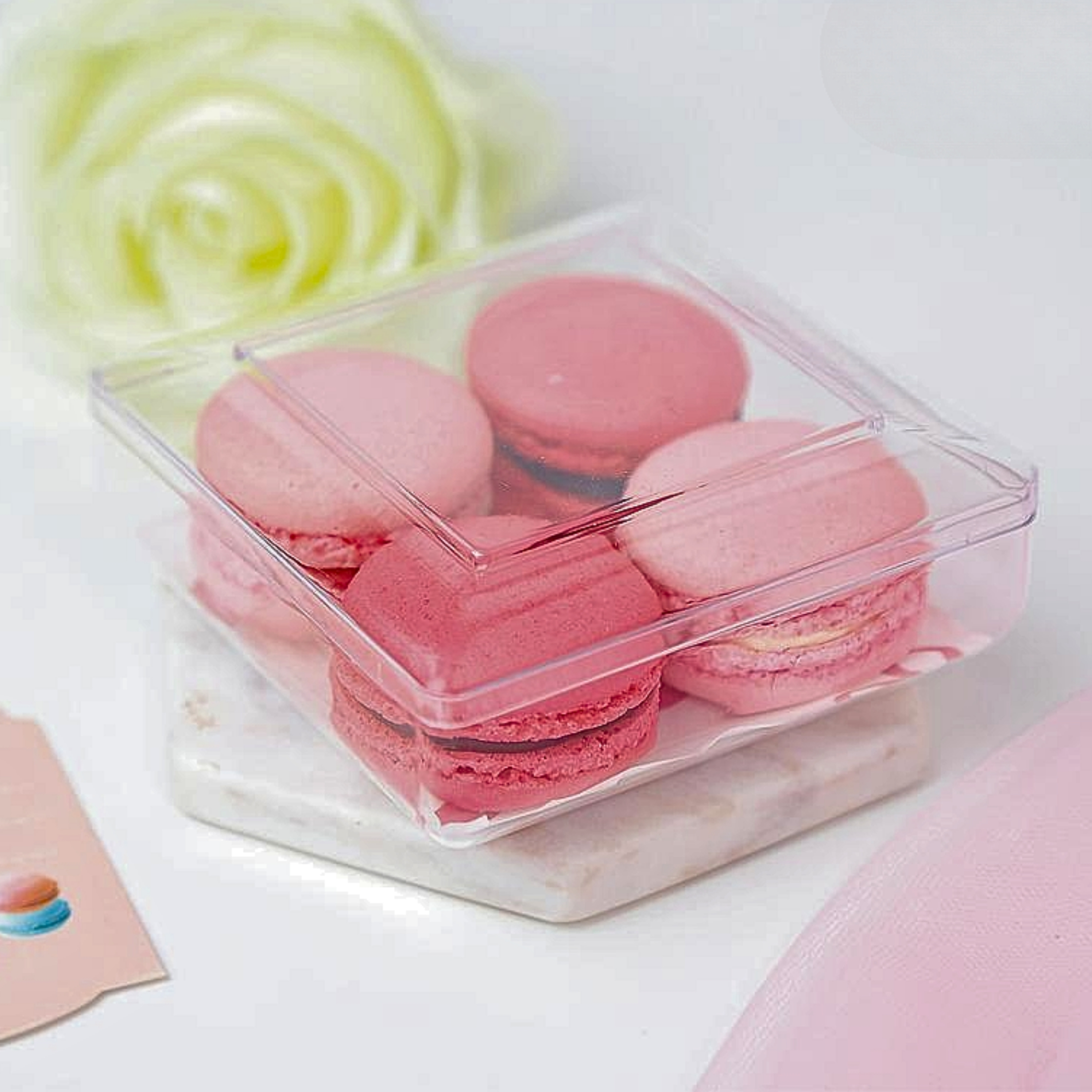 RW1329 กล่องพลาสติกแข็งใส กล่องเหลี่ยมจตุรัสมุมโค้งเล็ก (1แพ็คx12ใบ)