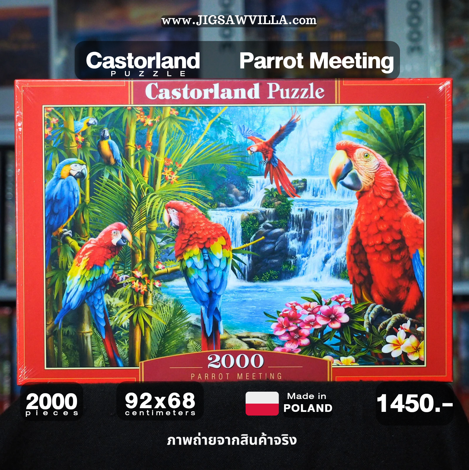 Castorland - Parrot Meeting 2000 pcs.