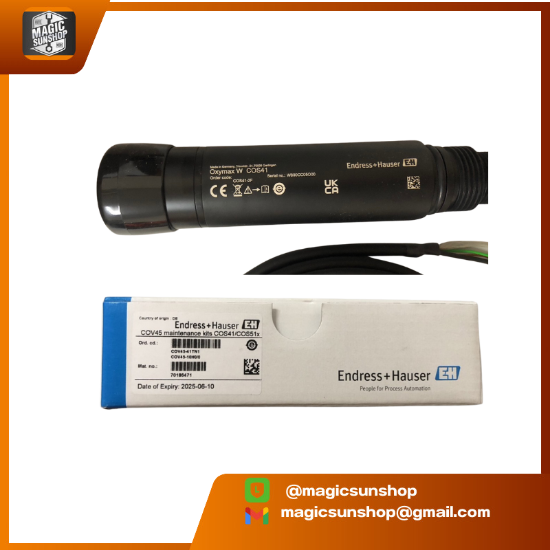 926144 German E+H dissolved oxygen probe COS41-2F