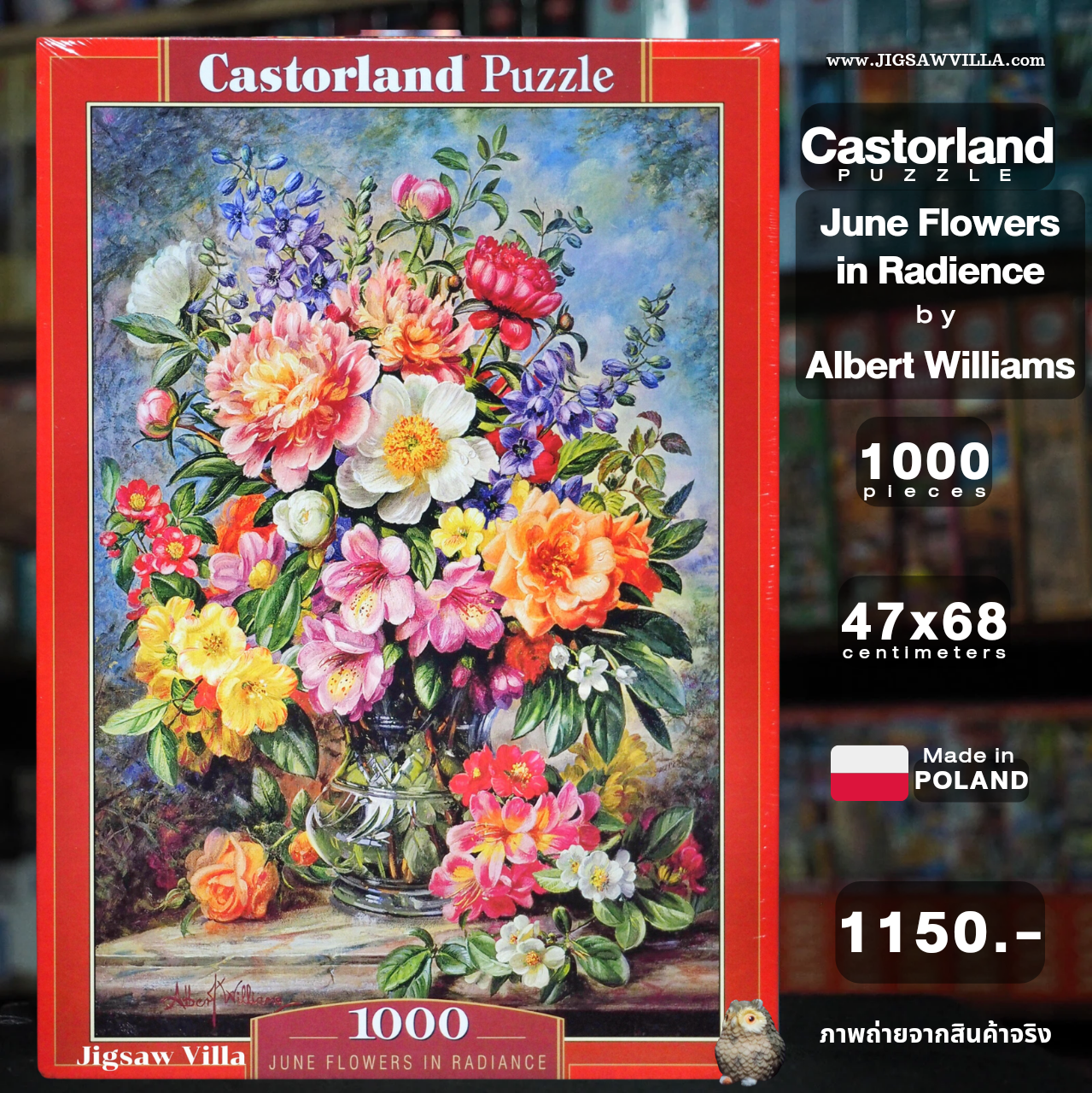 Castorland - June Flowers in Radiance by Albert Williams 1000 pcs.