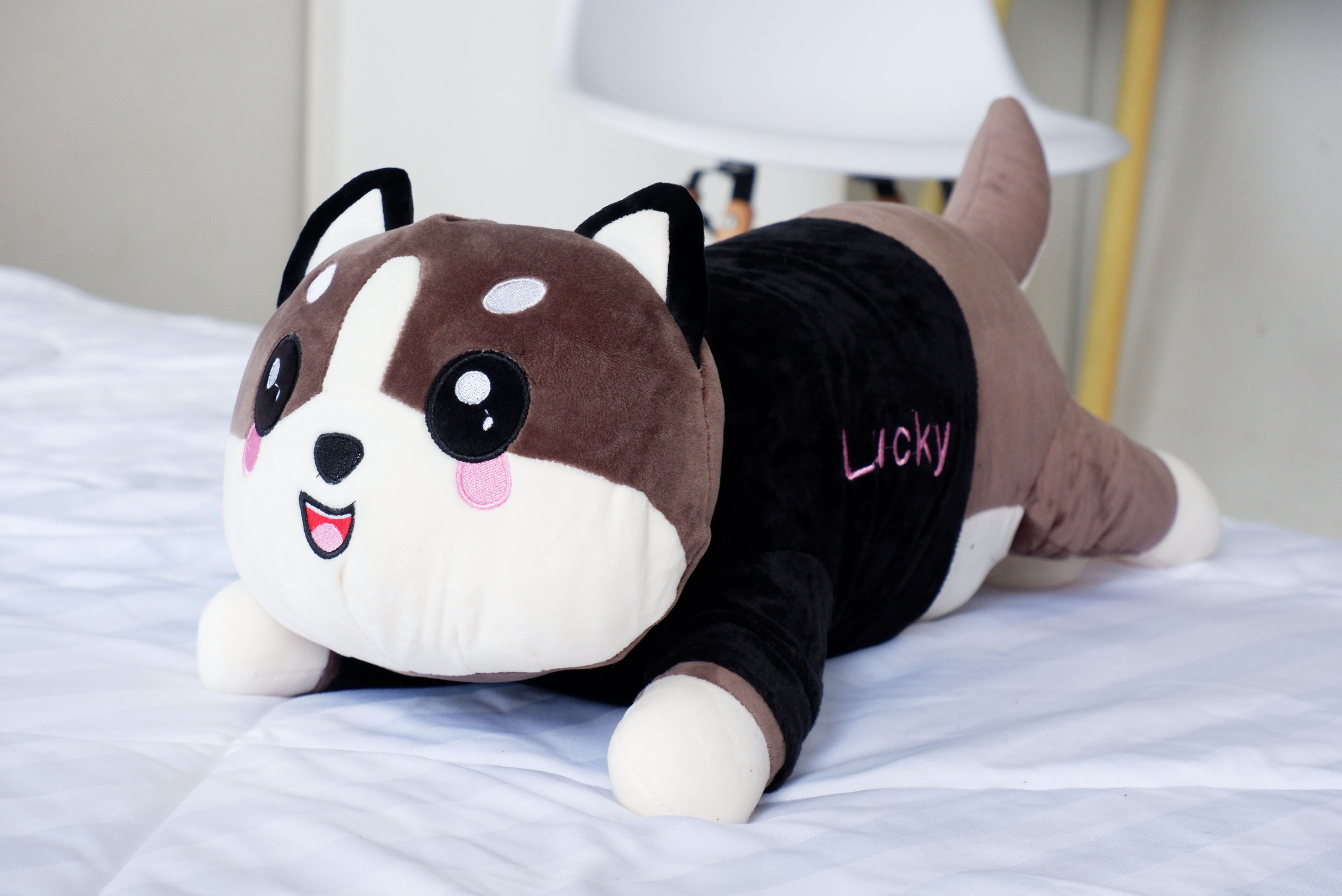 ตุ๊กตาผ้าห่มน้องหมา (10 ตัวคละสี)