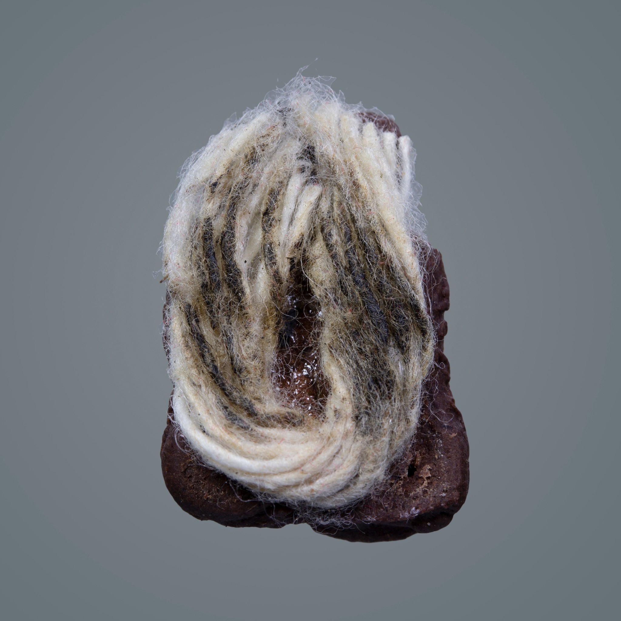 อิ่นคู่รัก อาจารย์ช้างสายซอง