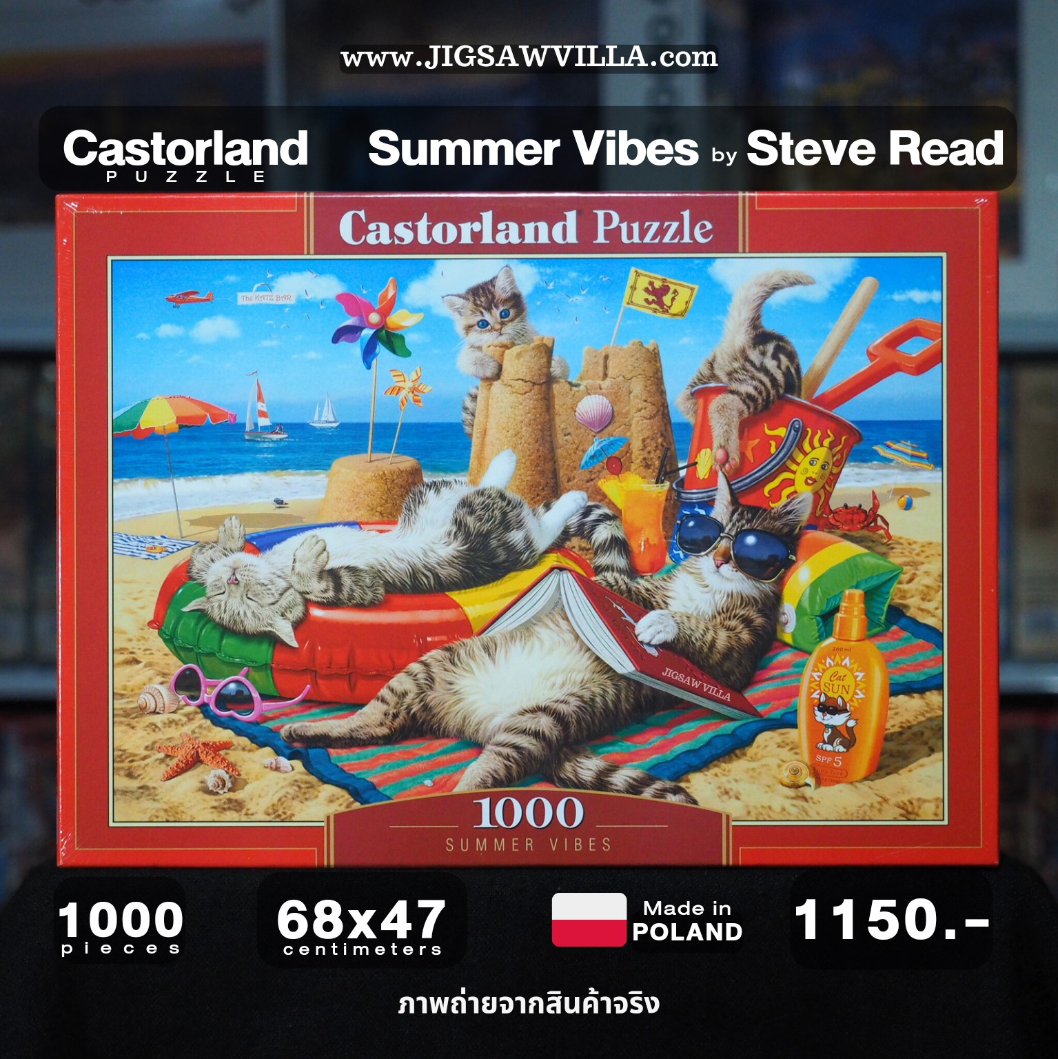 Castorland - Summer Vibes by Steve Read 1000 pcs.