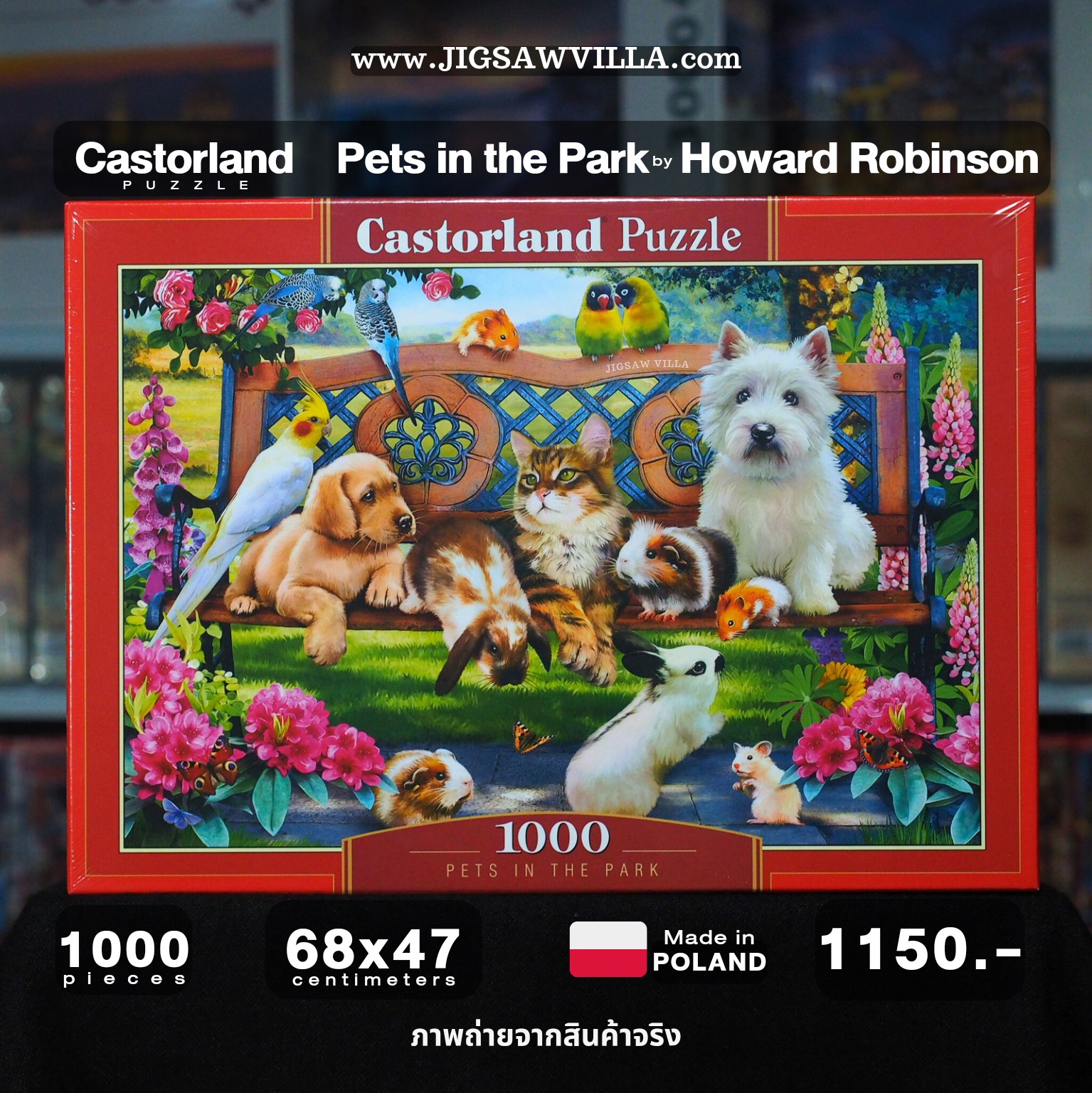Castorland - Pets in the Park by Howard Robinson 1000 pcs.