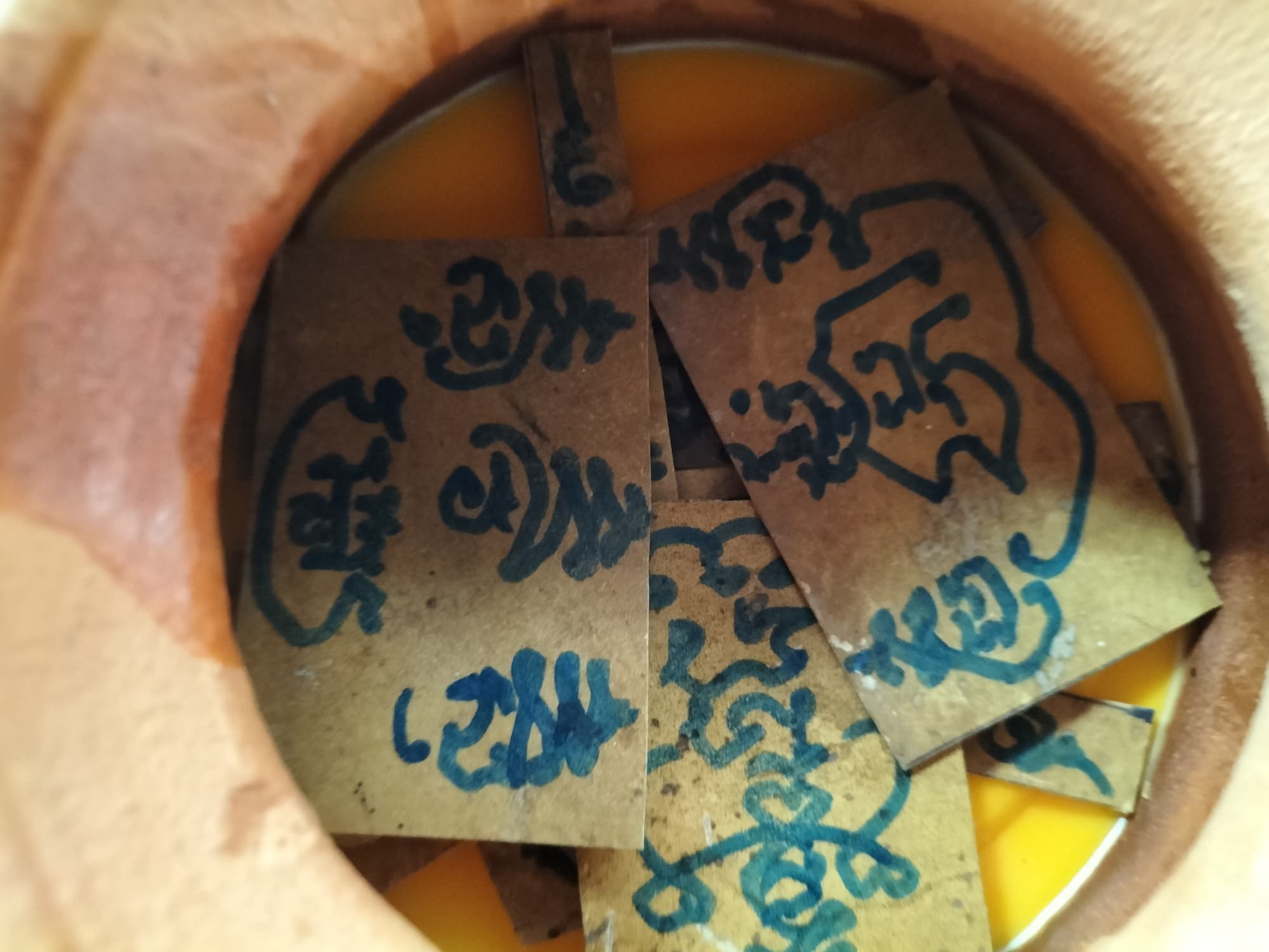 วัวธนูอาคม (โกบาสนาเตะ) อาจารย์เขมร