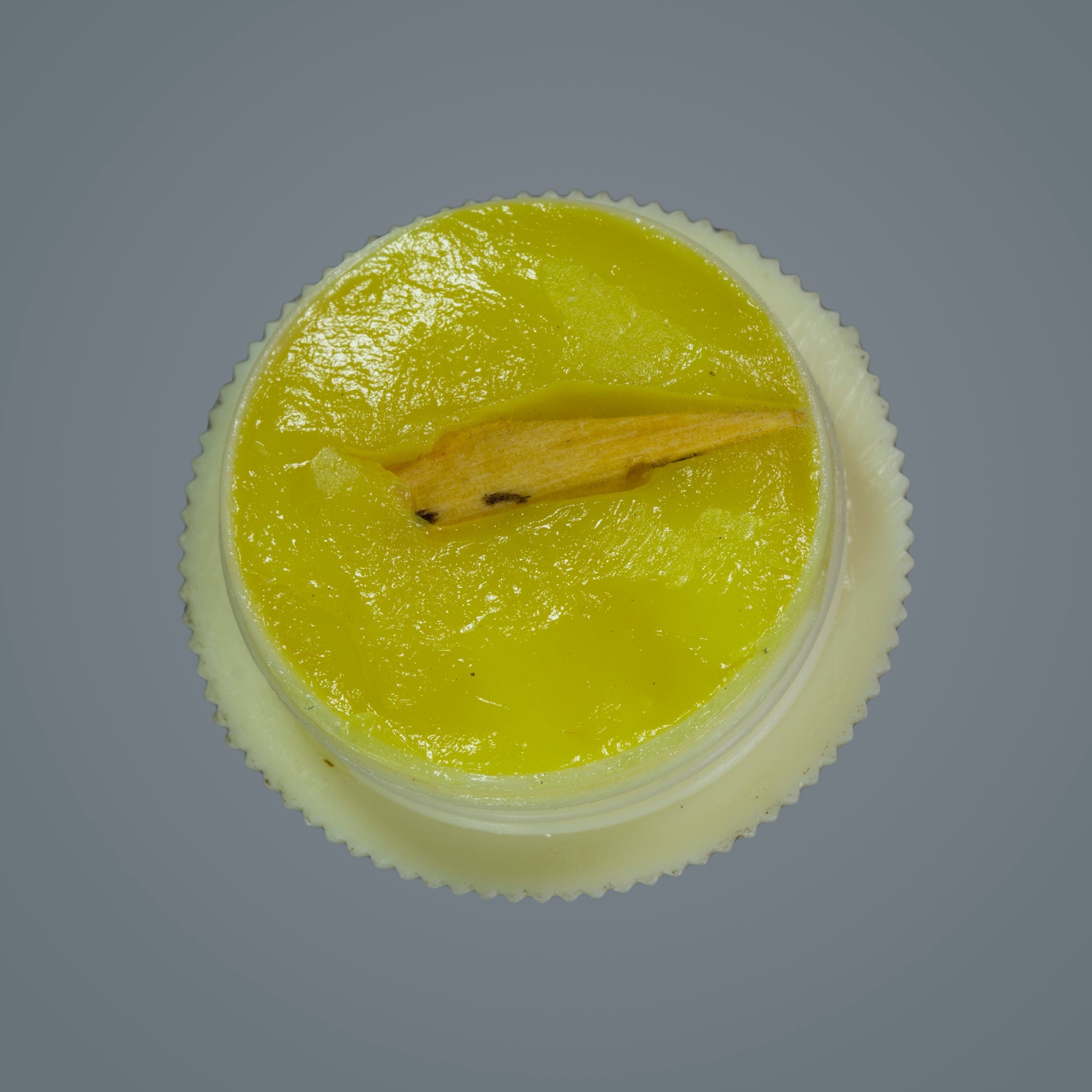 สีผึ้งเมียมาก อาจารย์ช้าง สายซอง FLT