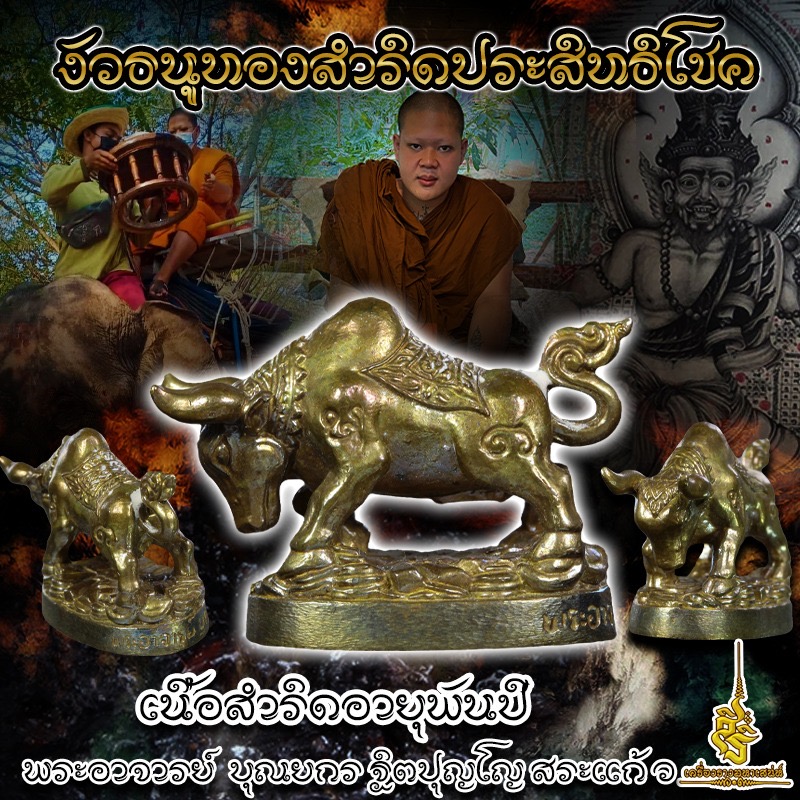 งัวธนูทองสำริดประสิทธิโชค เนื้อสำริดอายุพันปี พระอาจารย์ บุณยกร ฐิตปุญโญ สระแก้ว