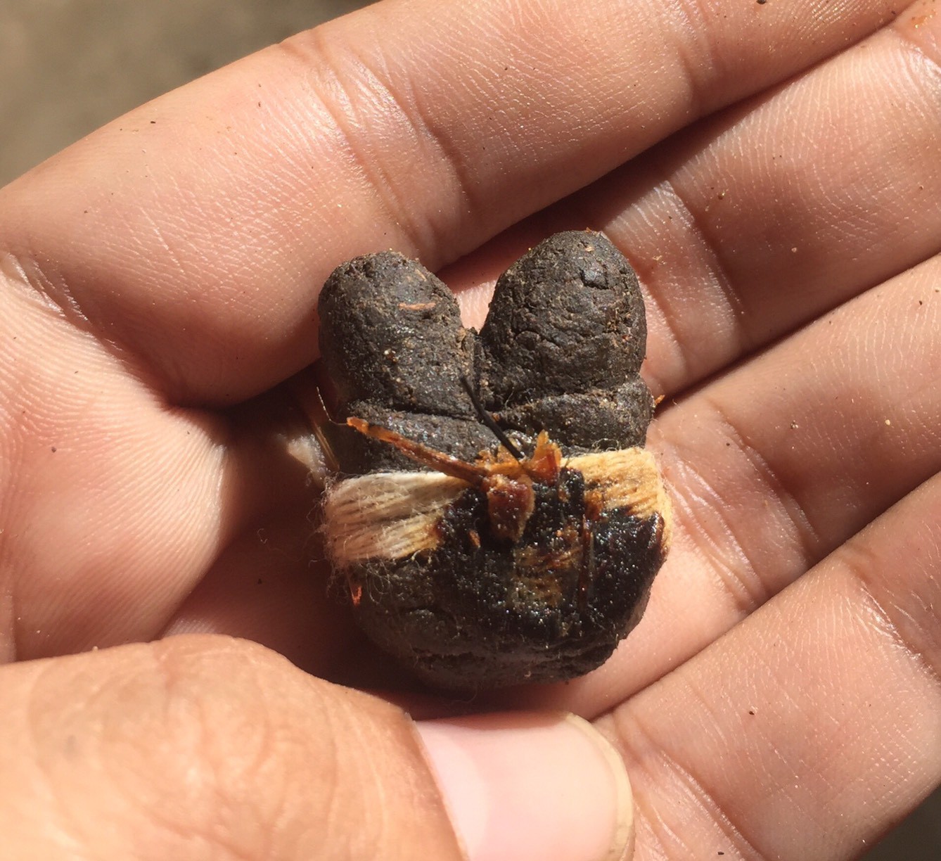 อิ้นมหาเสน่ห์พันด้วยด้ายอาถรรพ์ อาจารย์เปล่ง บุญยืน