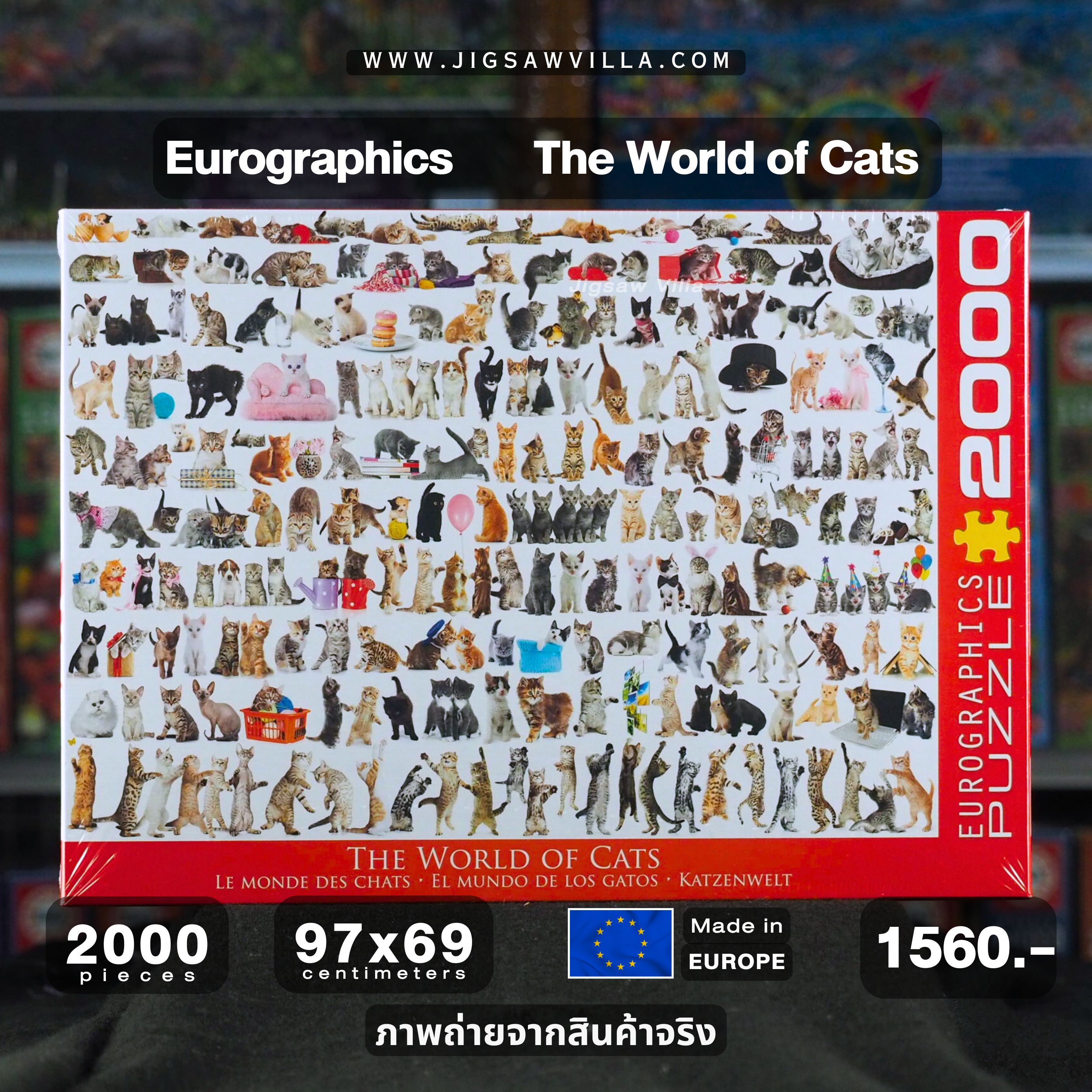 Eurographics - The World Of Cats 2000 pcs.