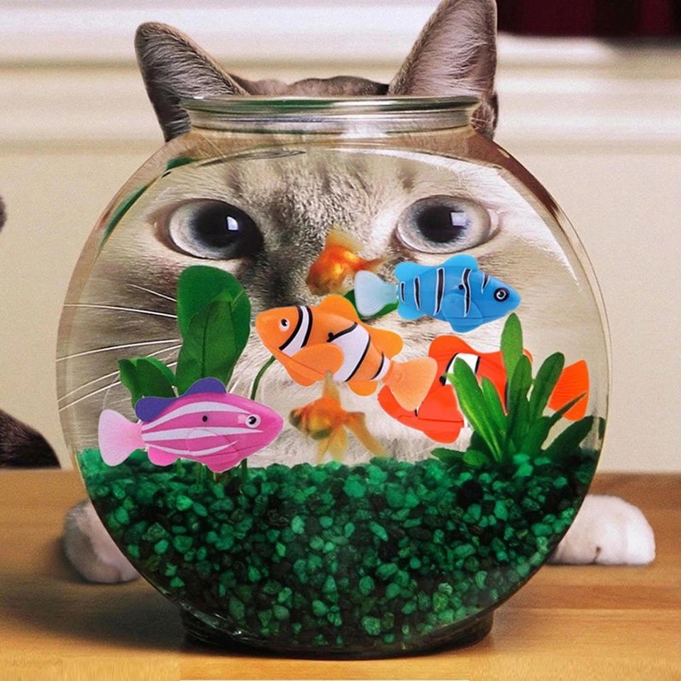 Robo Fish ปลาว่ายน้ำ