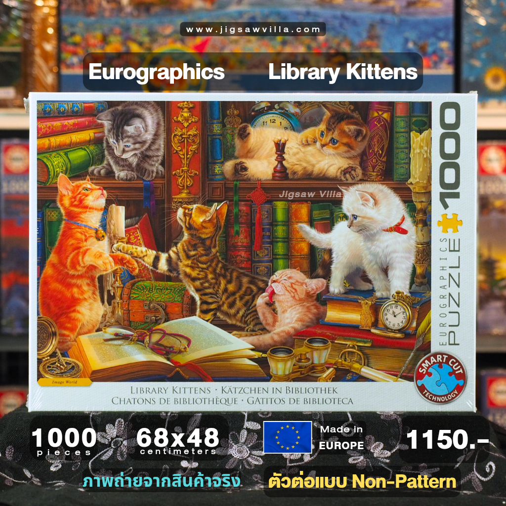 Eurographics - Library Kittens (Non-Pattern) 1000 pcs.