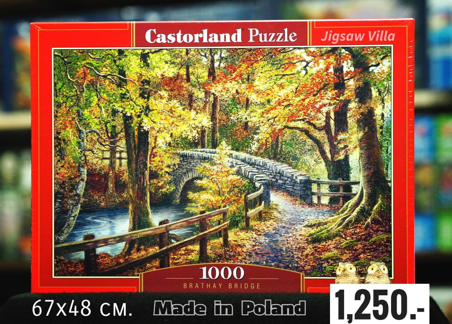 Castorland - Brathay Bridge 1000 pcs.