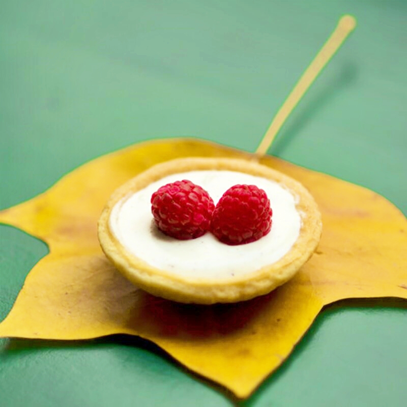 แป้นกดทาร์ตพลาสติใหญ่ เครื่องมือแม่พิมพ์ไม้สําหรับทําขนม