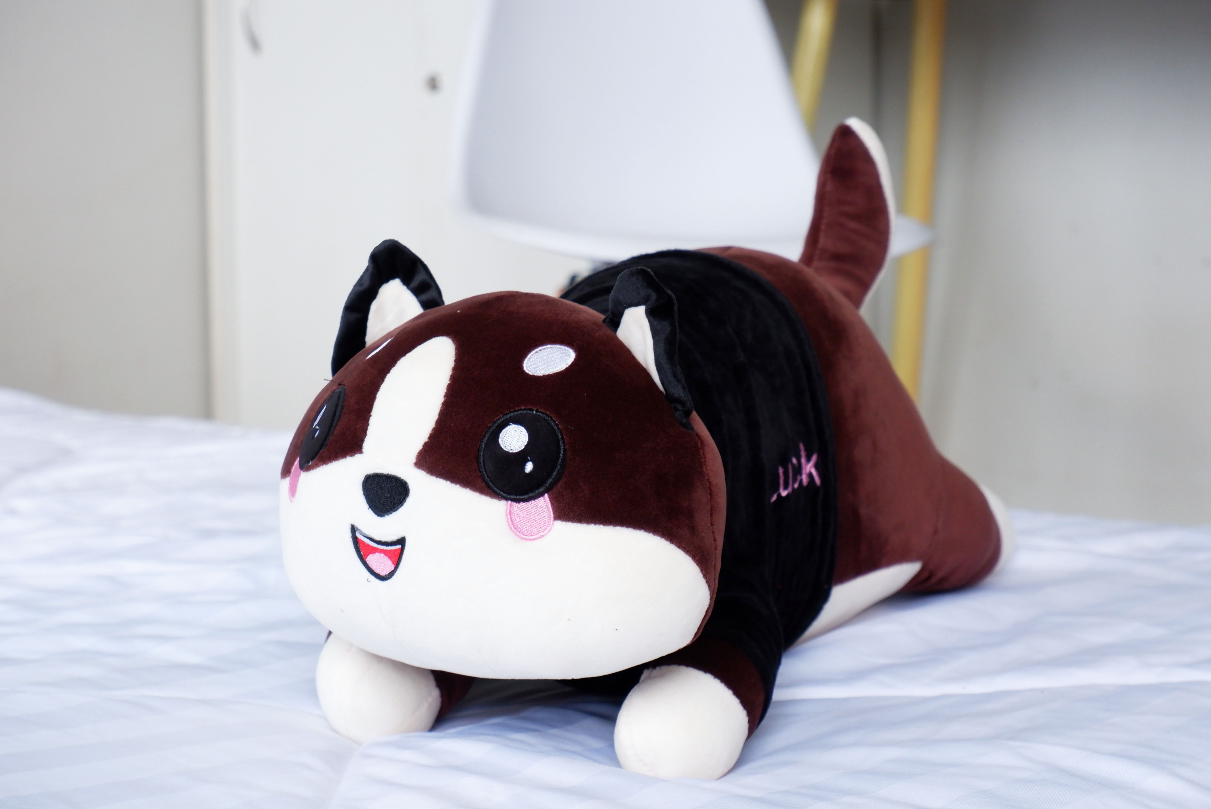 ตุ๊กตาผ้าห่มน้องหมา (10 ตัวคละสี)