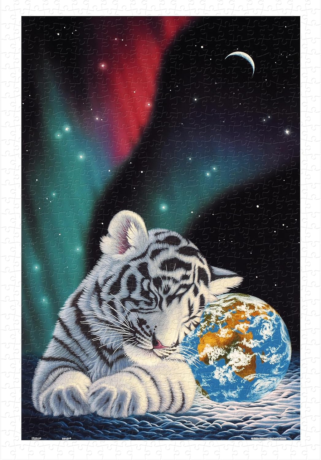 Pintoo - Earth Light by Schim Schimmel 600 pcs.