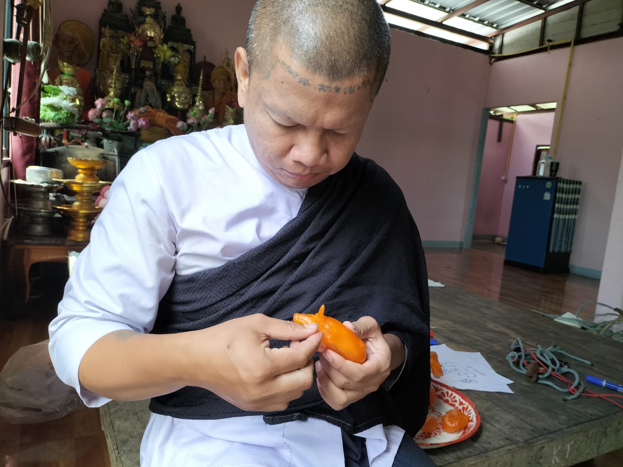 วัวธนูอาคม (โกบาสนาเตะ) อาจารย์เขมร