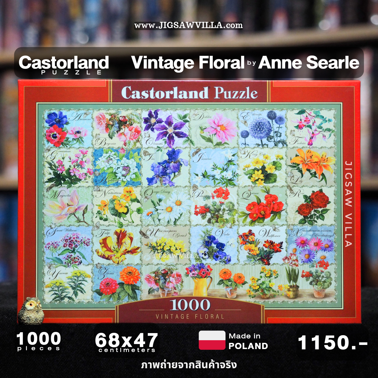 Castorland - Vintage Floral by Anne Searle 1000 pcs.