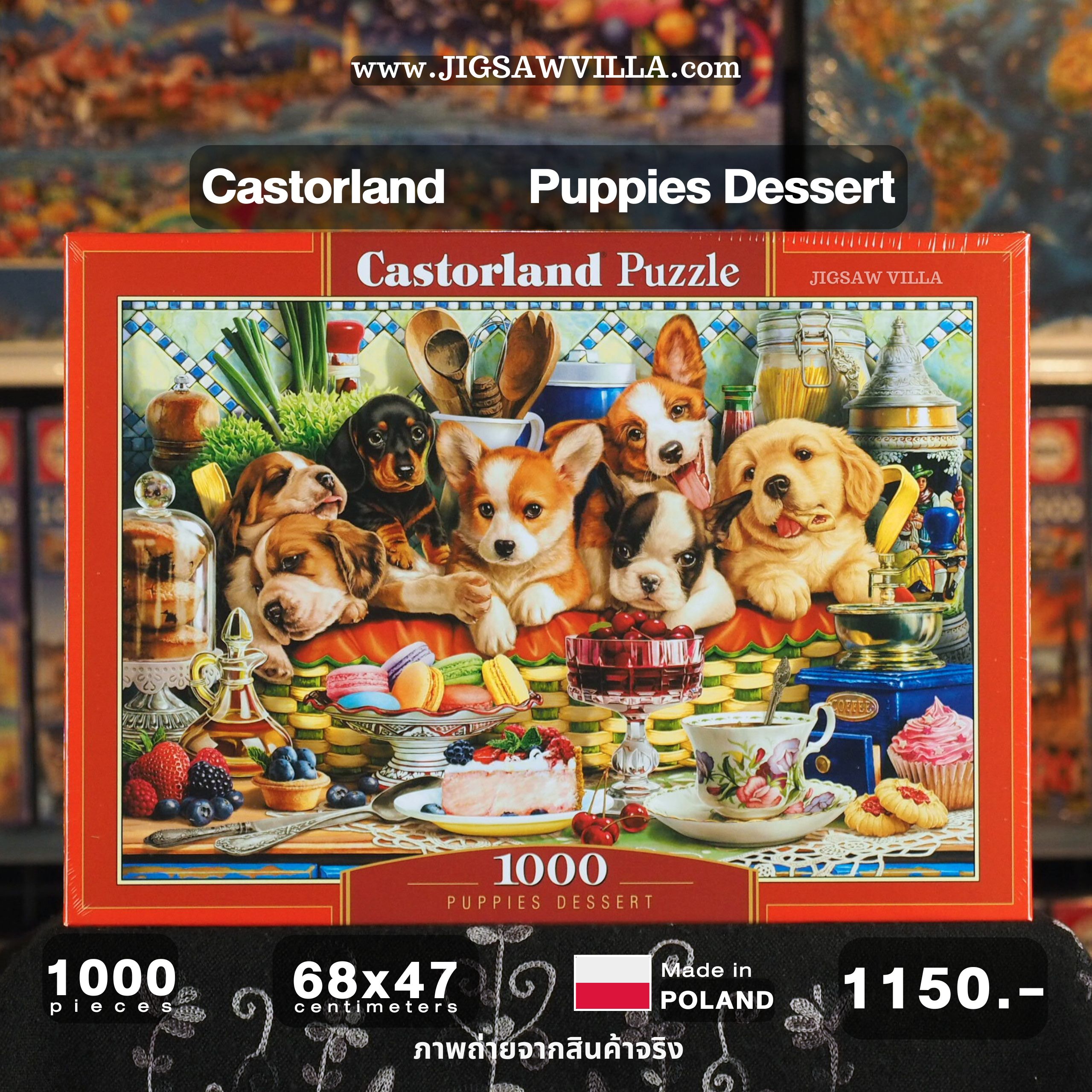 Castorland - Puppies Dessert by Image World 1000 pcs.
