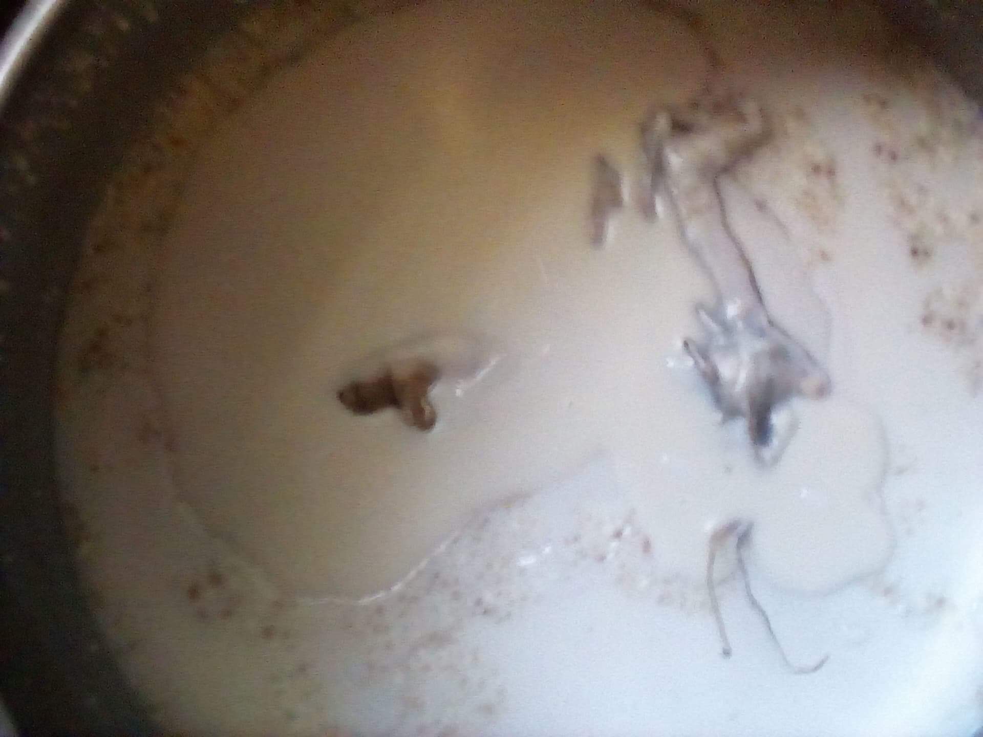 สีผึ้งสาริกาการะเวก พ่อเที่ยง (FLT)