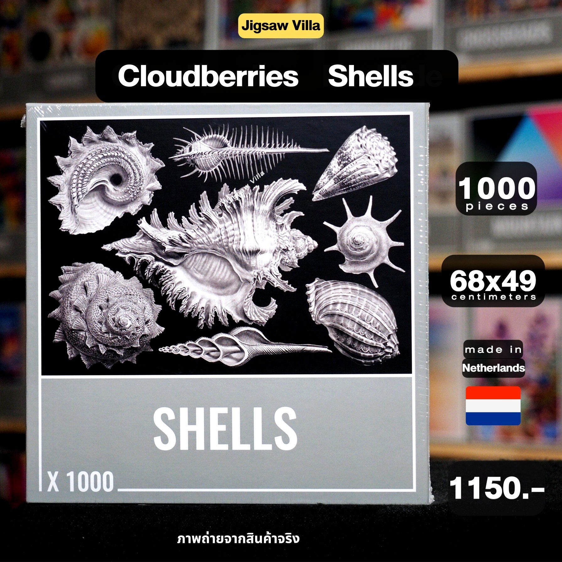 Cloudberries - Shells 1000 pcs.