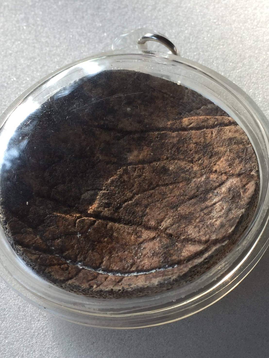 ปั้นเหน่ง