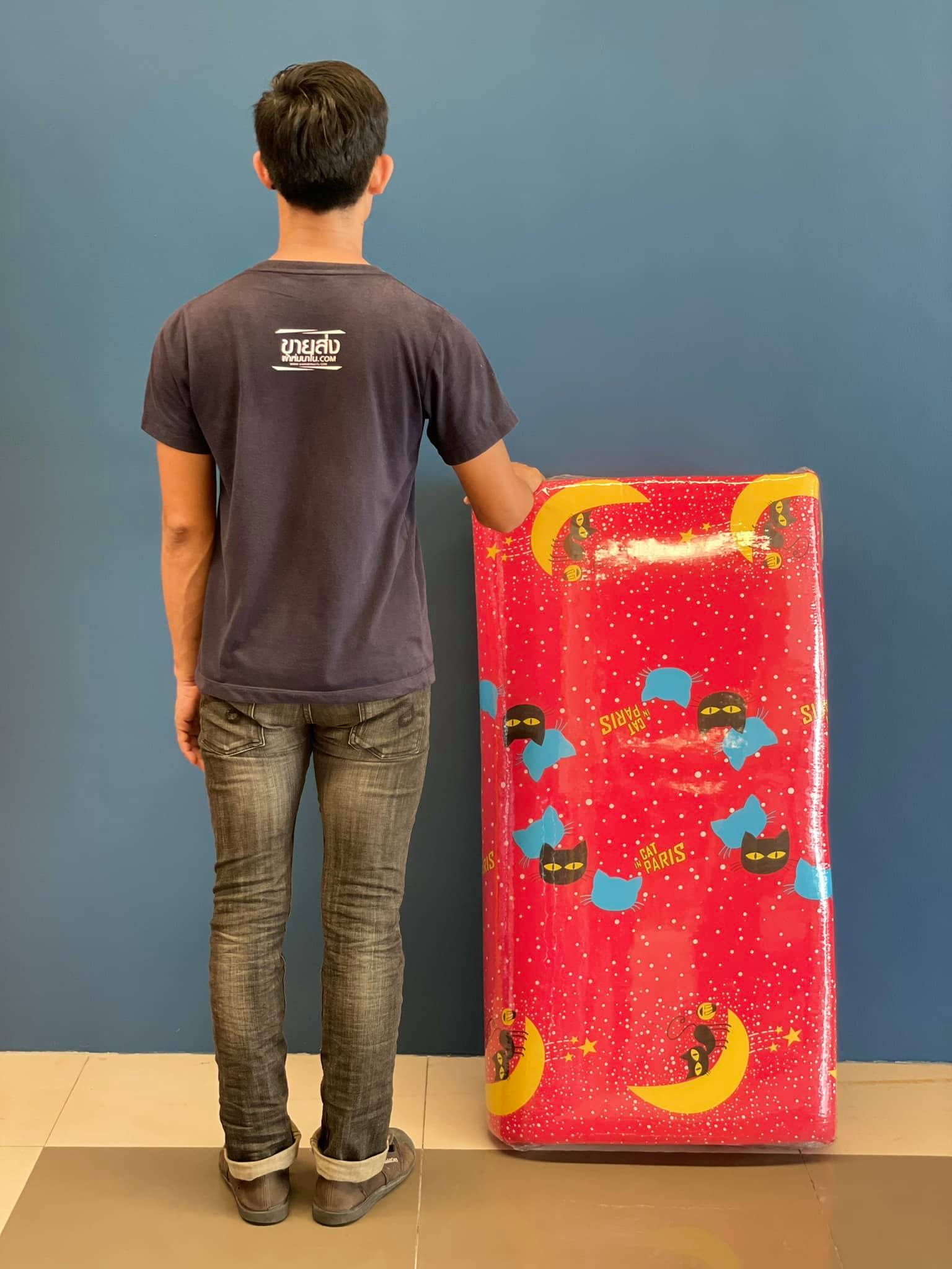 ที่นอนปิคนิค ผลิตจากโรงงานโดยตรงมีรุ่นหนา 2 นิ้ว / 4 นิ้ว