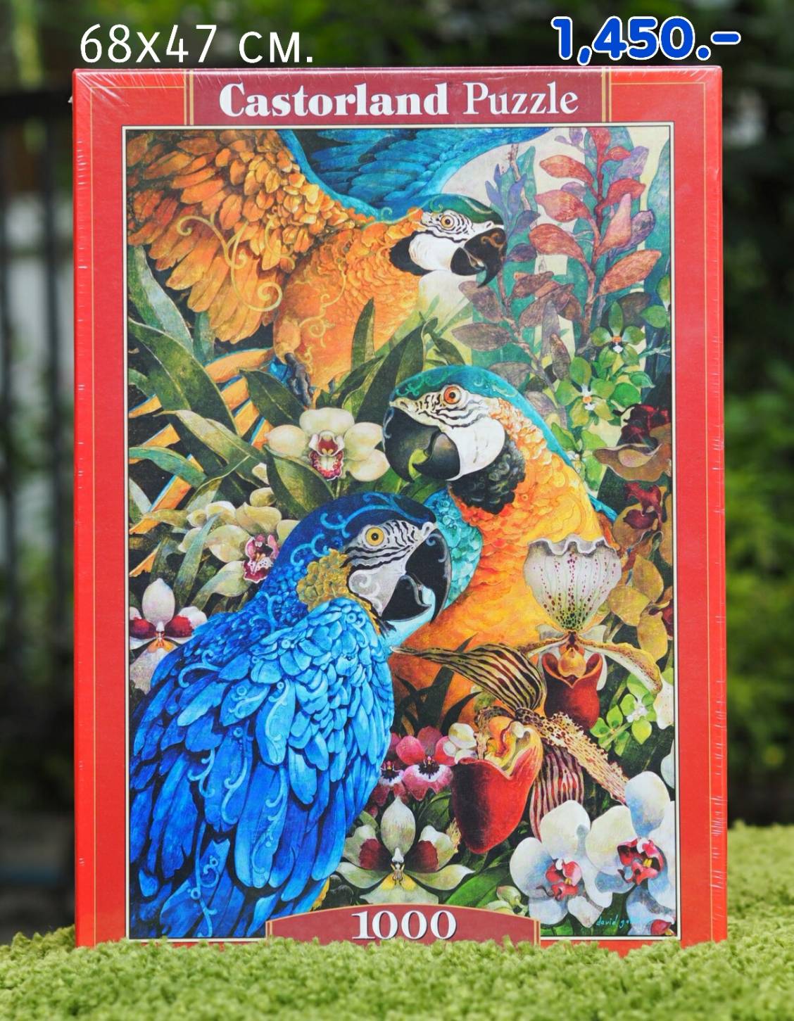 Castorland - Amazon 1000 pcs.