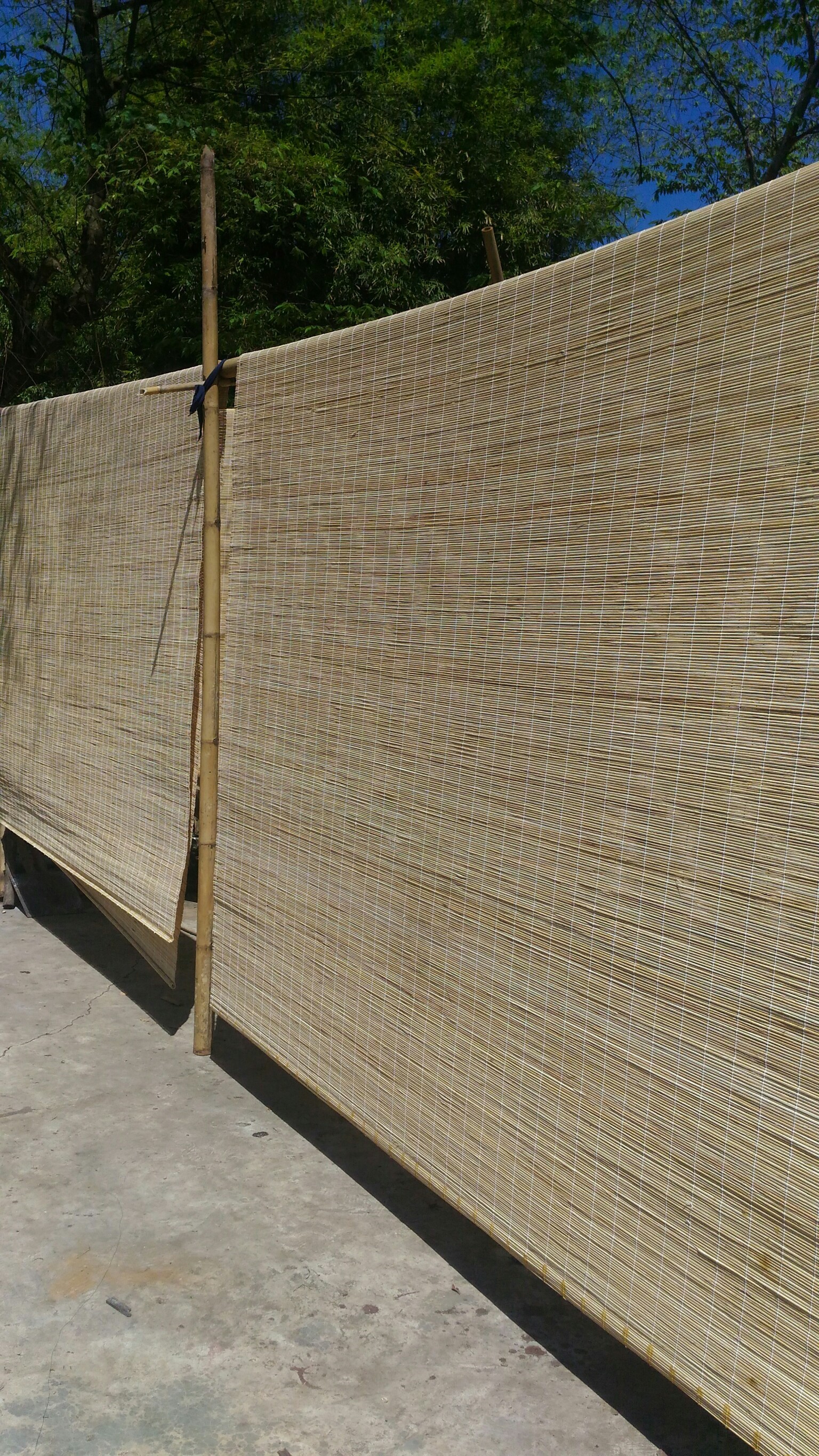 มู่ลี่ ไม้ไผ่ Bambooblind