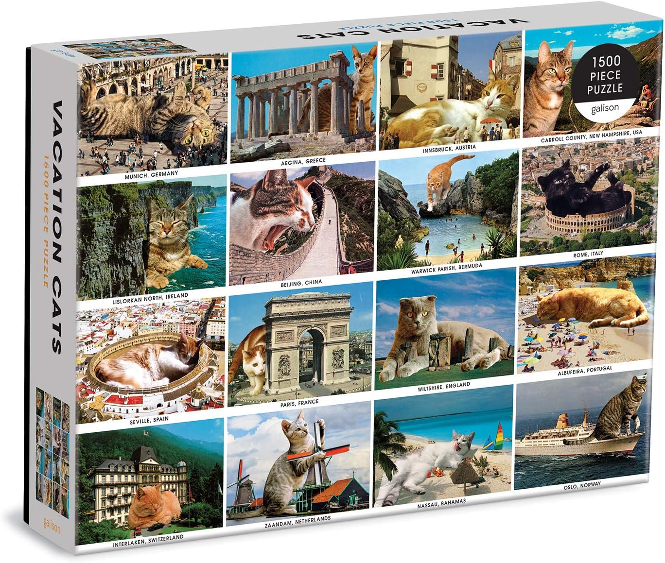Galison - Vacation Cats By Matt McCarthy 1500 pcs.