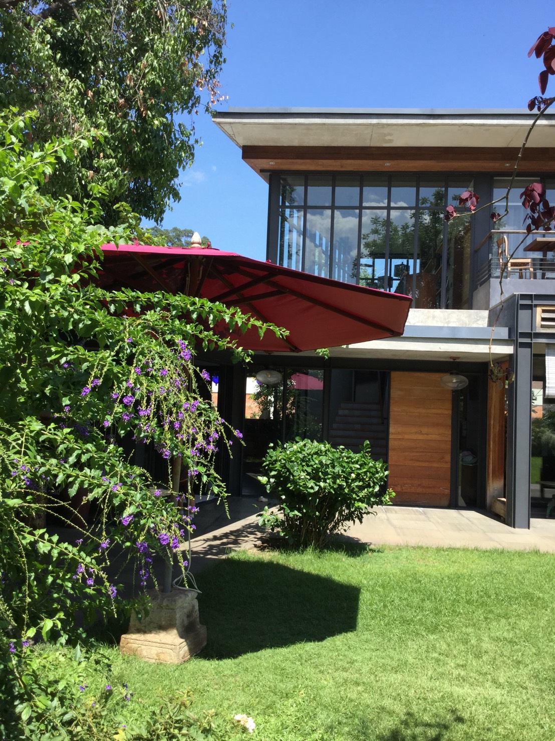 ร่ม 60 นิ้ว umbrella 60"