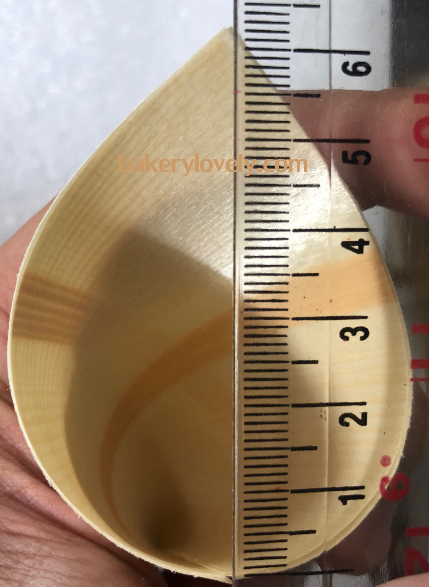 โคนไม้ ขนาดความสูง 12.5 cm