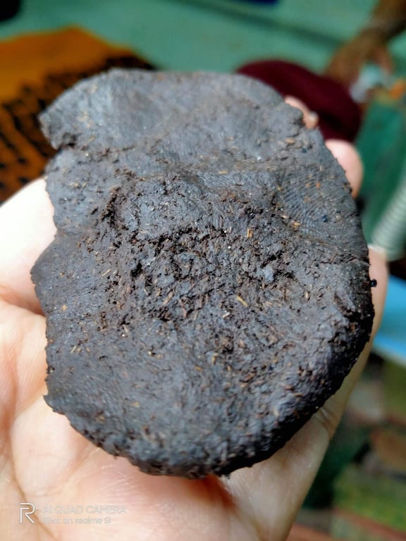 ⭕️ ยอดสาริกามหาเศรษฐี พระอาจารย์ บุณยกร ฐิตปุญโญ