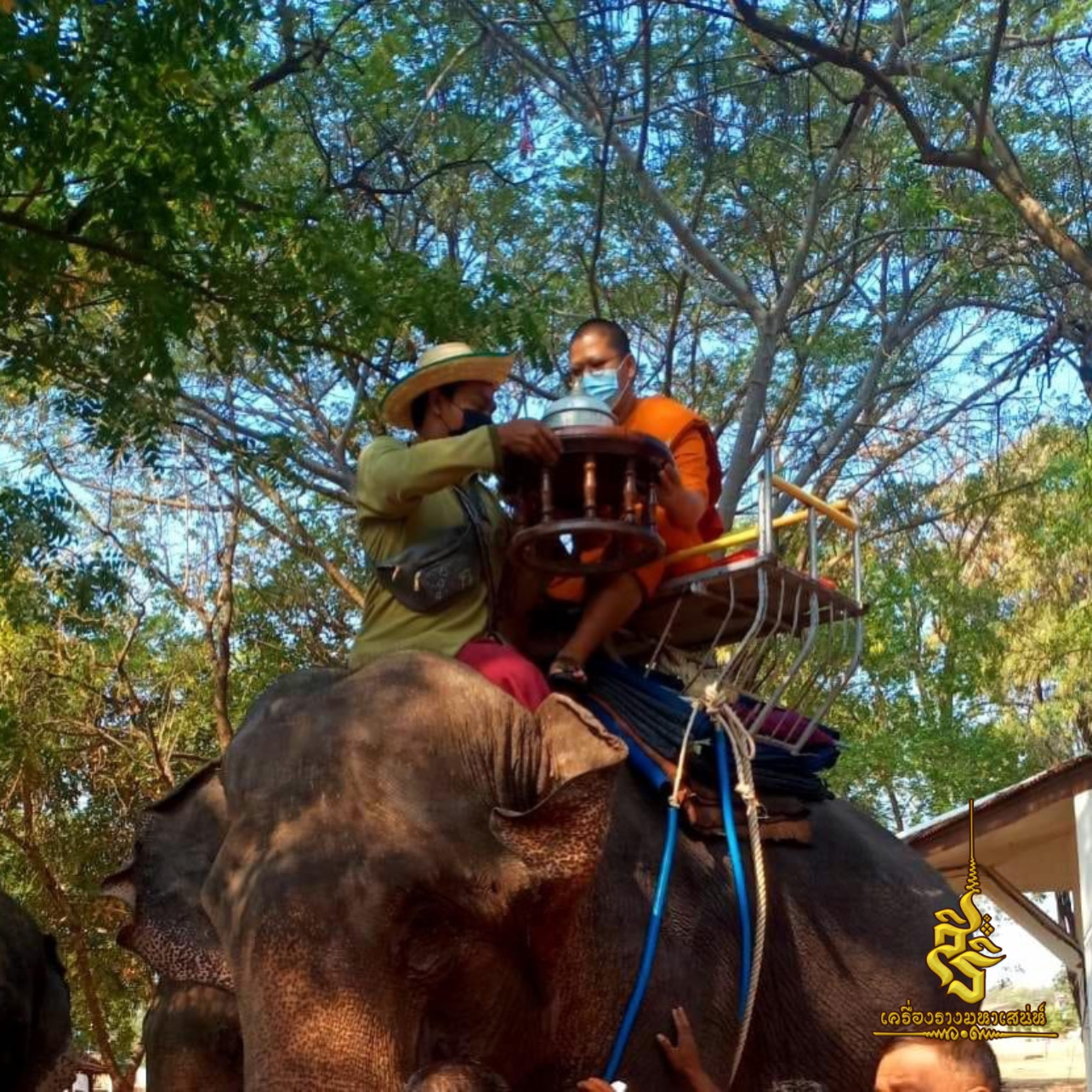 ⭕️ งัวธนูทองสำริดประสิทธิโชค เนื้อสำริดอายุพันปี พระอาจารย์บุณยกร ฐิตปุญโญ สระแก้ว