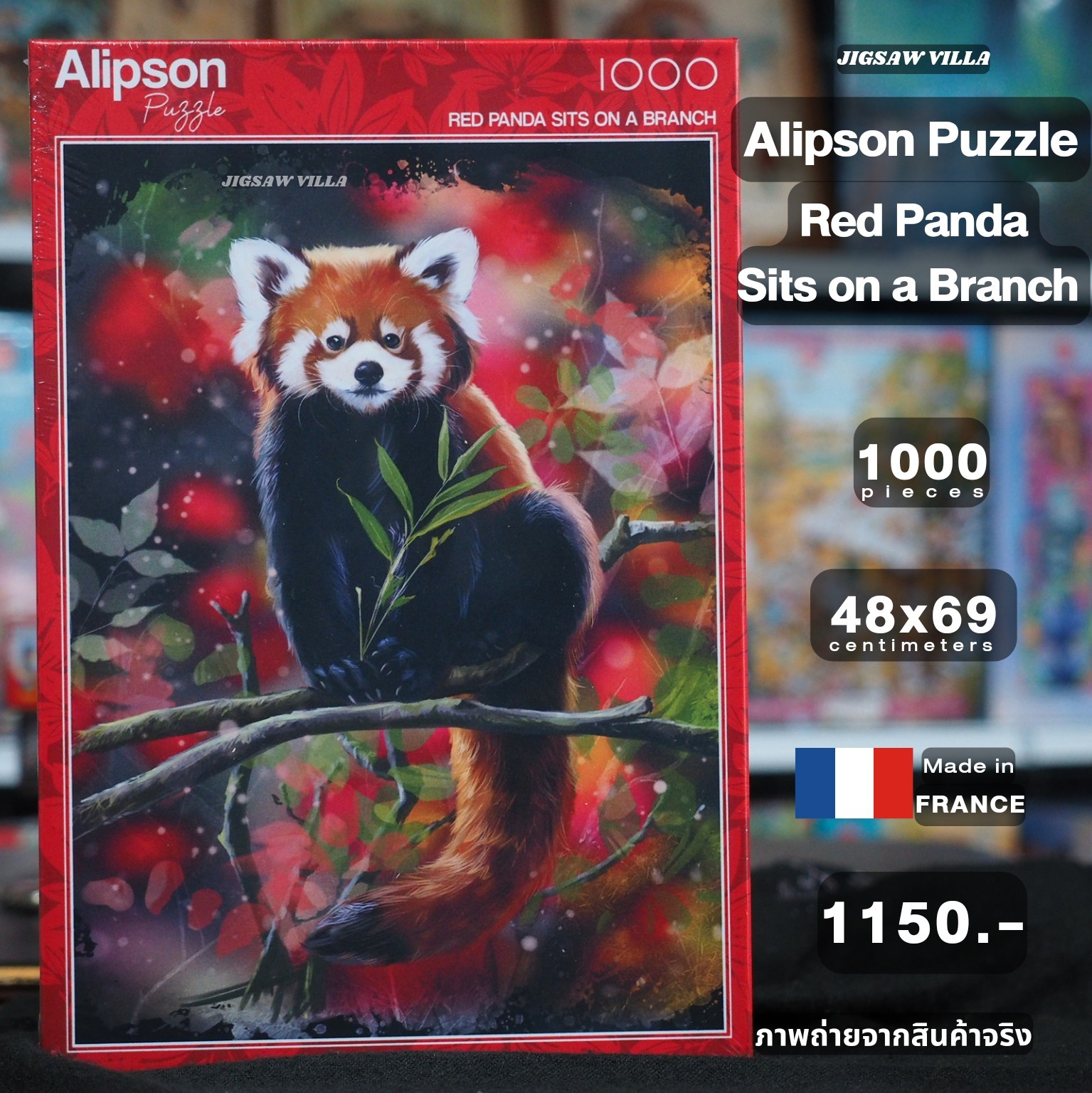Alipson Puzzle - Red Panda Sits on a Branch 1000 pcs.