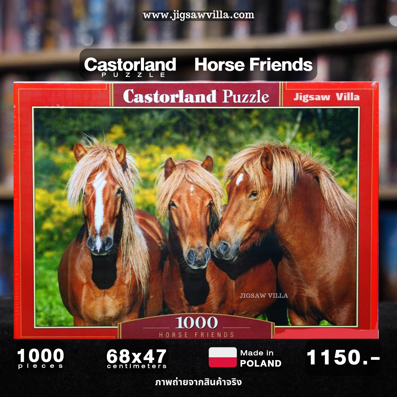 Castorland - Horse Friends 1000 pcs.