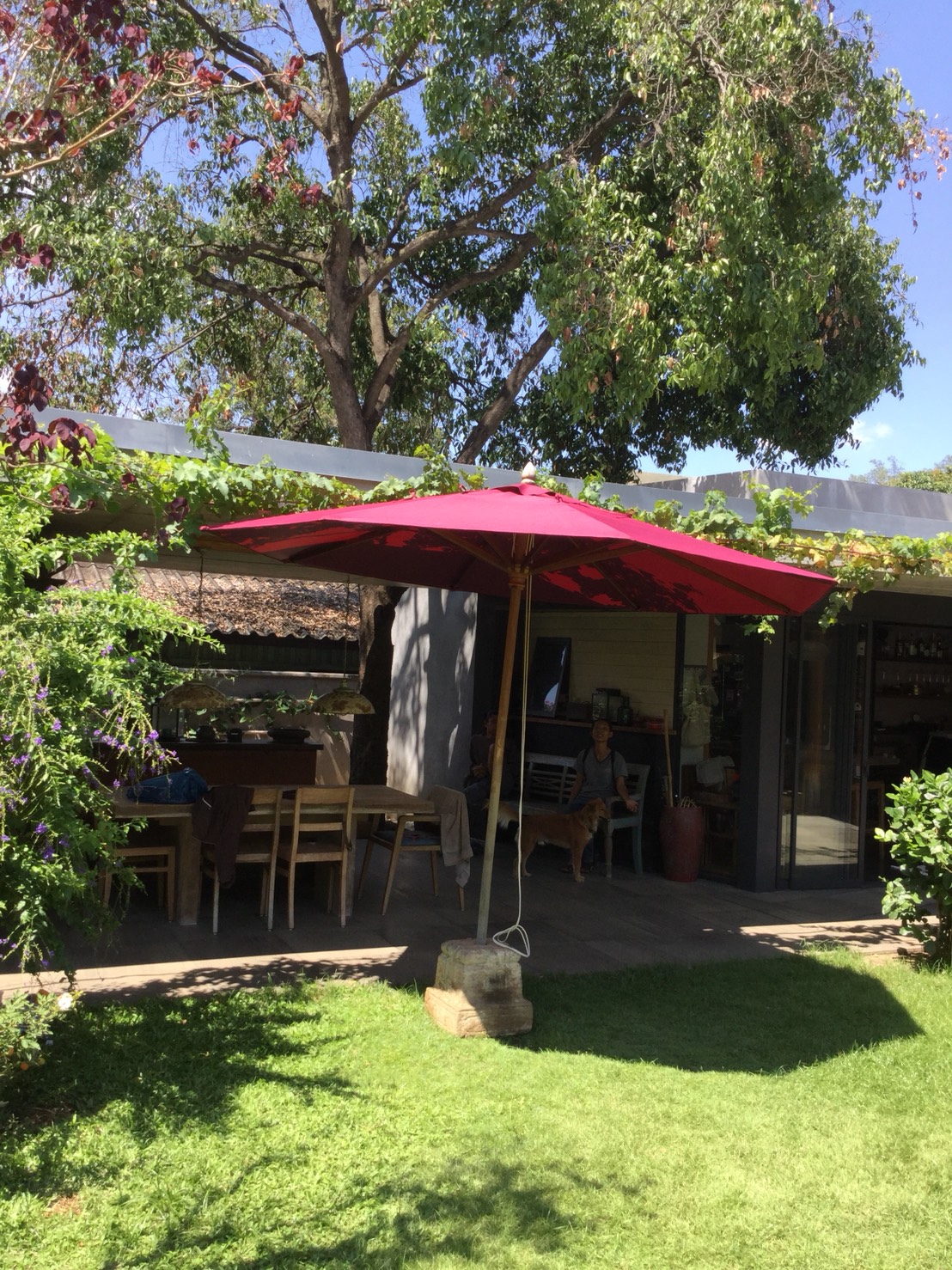 ร่ม 60 นิ้ว umbrella 60"