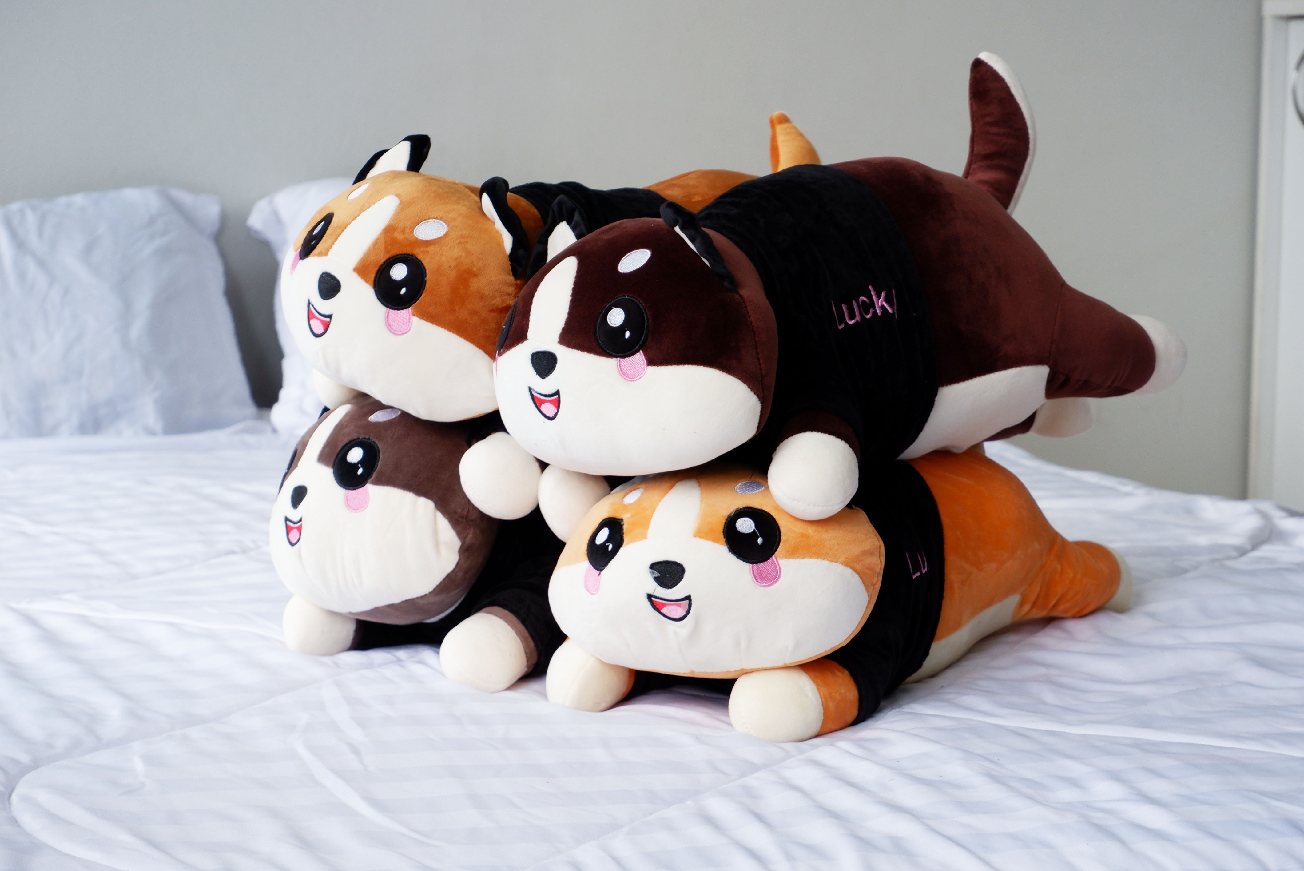 ตุ๊กตาผ้าห่มน้องหมา (10 ตัวคละสี)