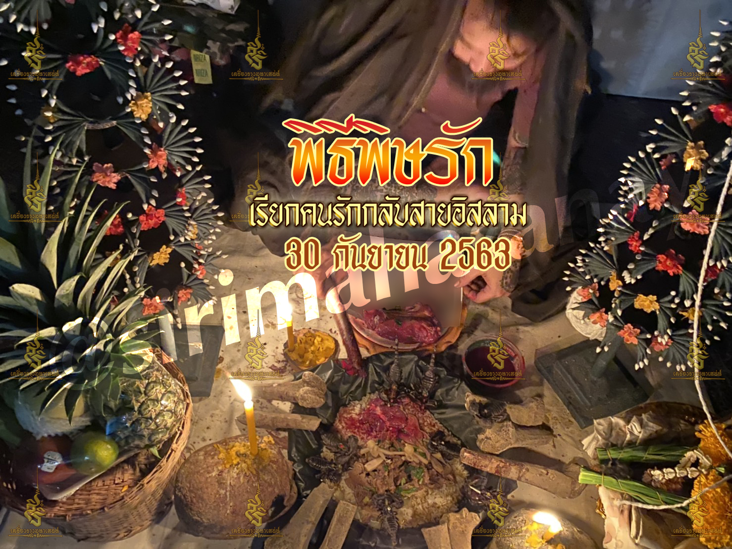 พิธีพิษรัก (ทำเสน่ห์สายอิสลาม) อาจารย์เดี่ยว สุทธิกาโร สำนักสักยันต์เข็มเสน่ห์บูรพา