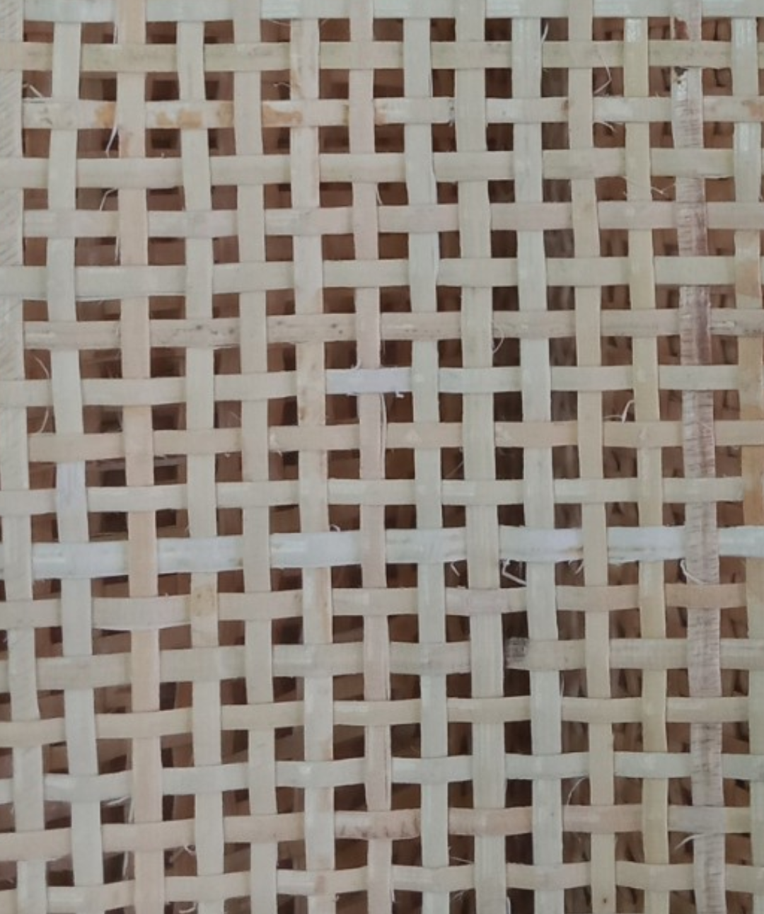 หวายม้วน RR112.1