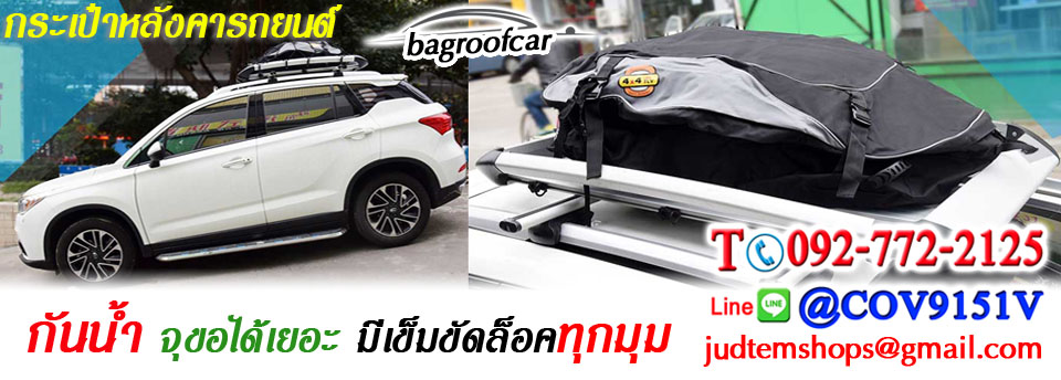 bagroofCar