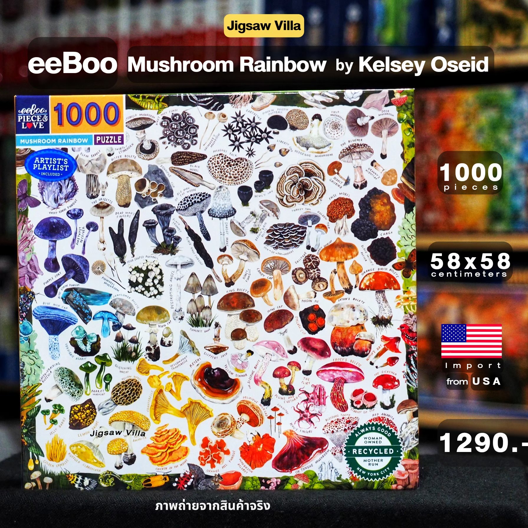 eeBoo - Mushroom Rainbow By Kelsey Oseid 1000 pcs.